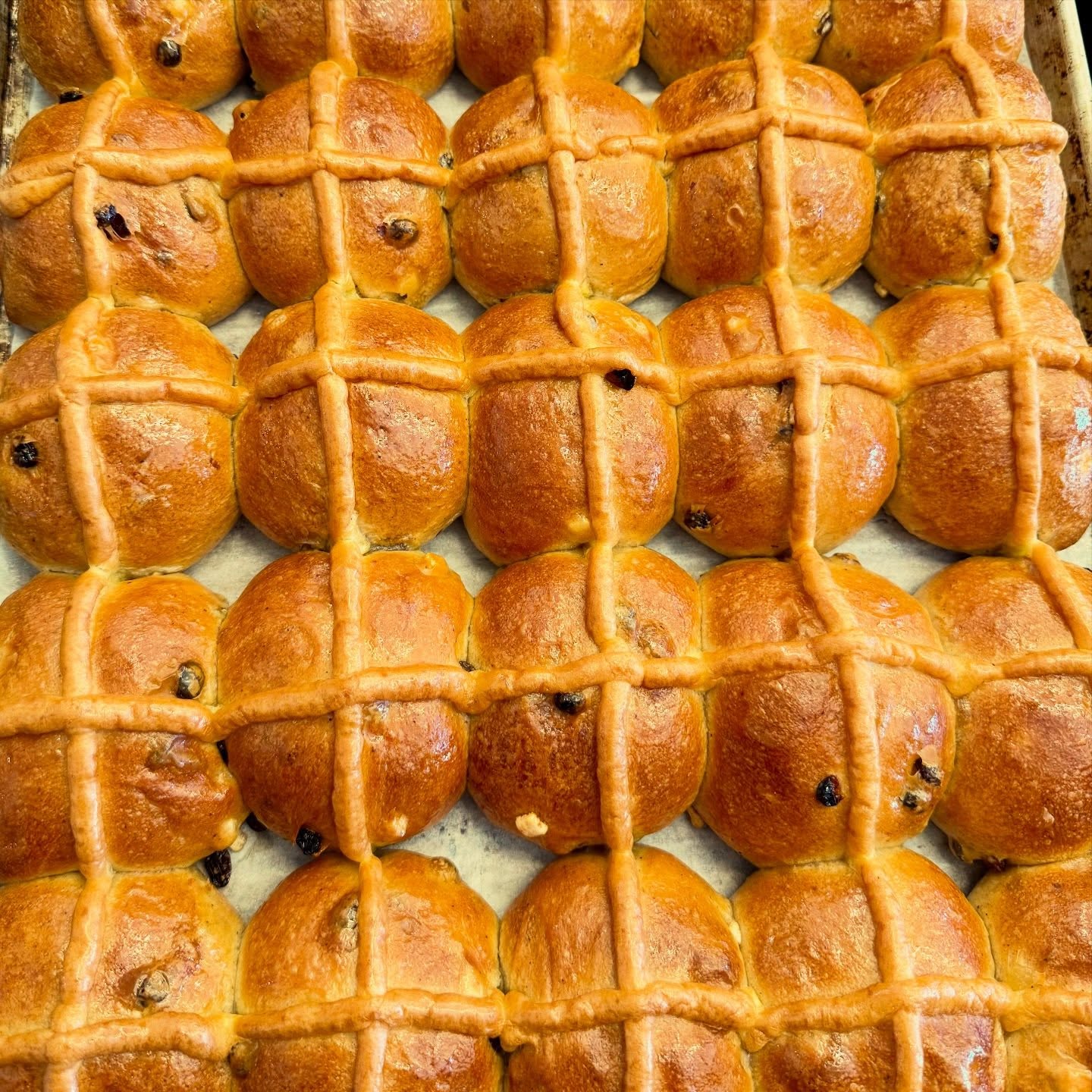 Hoppy Easter ๐ฃ
Bring on spring in the outstanding Okanagan ๐ธ๐ท
.
.
.
.
.
#kelowna #foodtour #foodtours #okanagan #downtownkelowna ogopogo ylw tea bakery pizza woodfire spirits gelato craftbeer tofu vegan local foodie explorekelowna okanaganlife kelownafoodtours customerservice travel kasugai travelbc explorebc spring april