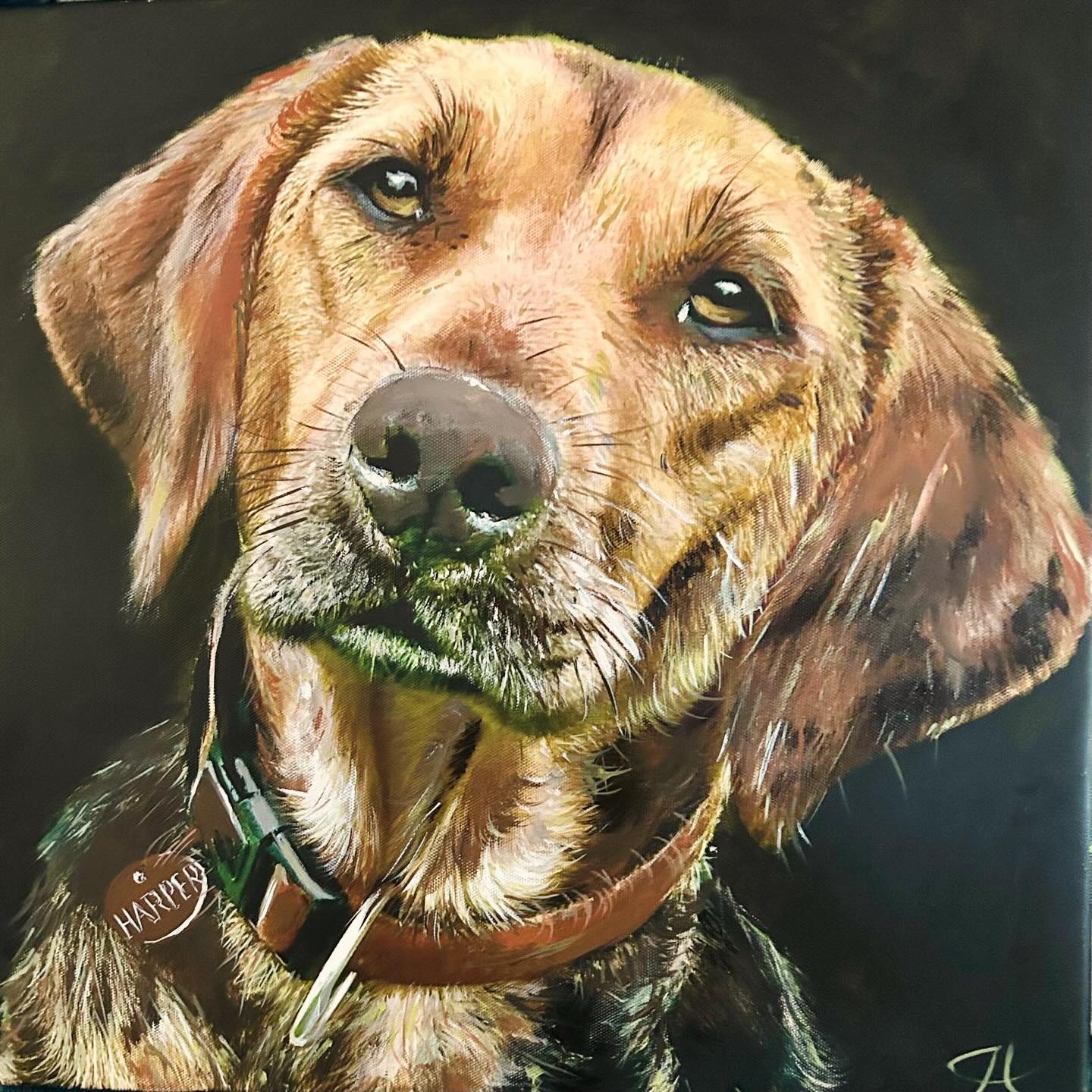 Meet Harper the Plott Hound! ๐ถ ๐
A pleasure to paint, Harperโs is loyal, alert and very active, but happy to chill at home!
#dogsofinstagram #dogportrait #petportraitsofinstagram #paintingpets #petportraits @plotthound @petscorneruk @pets