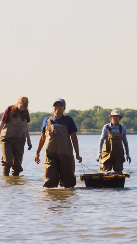 🔹 Offizieller Händler: Jenni Uhren AG
Besuche uns auf 👉 www.jenni-uhren.ch
For decades, we have drawn alongside agents of change — conserving and protecting the world's water sources and endangered marine species.
@billionoyster
#Oris #Aquis #billionoyster