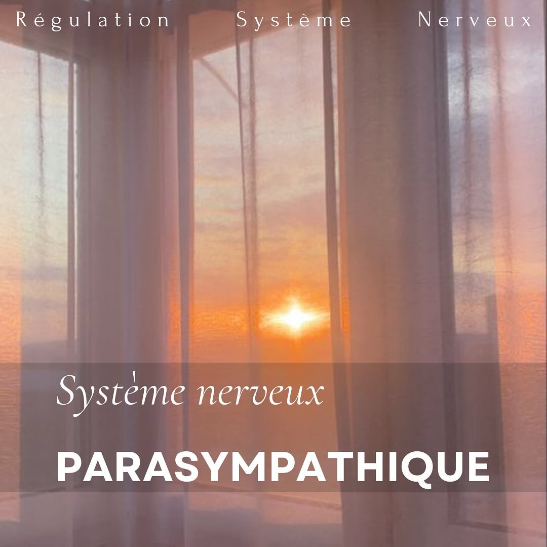 ⊠SystĂšme parasympathique âŸ
Le systĂšme parasympathique est une autre composante clĂ© du systĂšme nerveux autonome. Sa particularitĂ© est quâil est divisĂ© en deux sous-parties qui amĂšneront une rĂ©ponse diffĂ©rente en fonction de la situation de stress vĂ©cue. Explications dans les slides.
âĄ
.
.
#selfcare #selflove #body #bienetre #etrebien #conditionphysique #care #equilibre #amatherapeute #montpelliersud #holistique #holisme #global #montpellier #therapeute #therapie #mieuxetre #systemesympathique #regulationsystemenerveux #parasympathique #ventral #dorsal