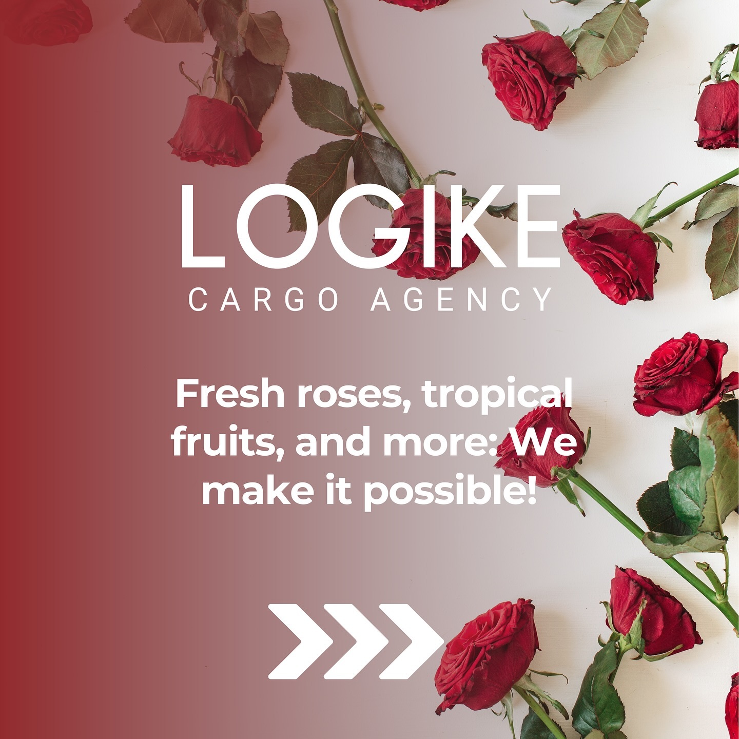 ✈️ Quality that connects Ecuador to the world.
For logistics, logically Logike Cargo.
#FloralLogistics #FruitExports #ExcellenceInAirCargo