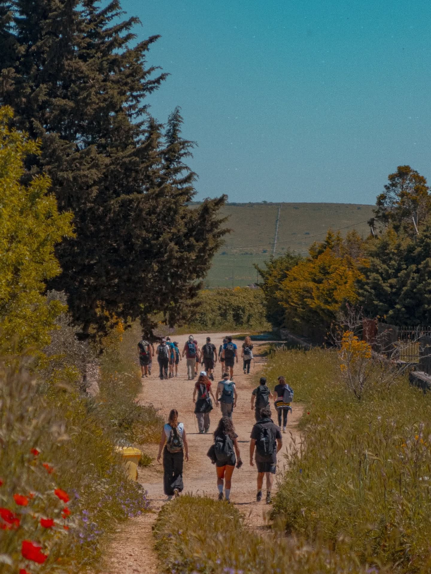 🌿 La via Peuceta ci ha guidati passo dopo passo, come se la conoscessimo da sempre.
Domenica abbiamo attraversato il cuore più autentico dell’Alta Murgia, camminando lungo uno dei tratti più suggestivi del Cammino Materano, tra Altamura e Santeramo in Colle 👣 fino alla Masseria Scalera dove tutto ha oreso ancora piu sapore 🌱
Questa è la nostra idea di cammino. Ed è solo l’inizio. ✨
💬 Tu c’eri? Raccontaci il momento che ti è rimasto dentro!
Se invece ti sei perso questa esperienza… niente paura 👀
Il prossimo evento è già in arrivo.
Seguici per non restare indietro!
.
.
.
#masseria #trekking #natura #altamura #camminomaterano