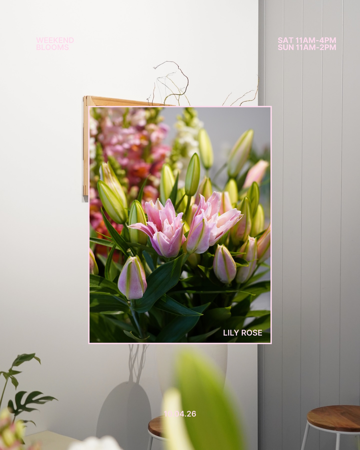 OUR FAVOURITE BLOOMS ARE IN STOCK TODAY!!! COME GRAB THEM BEFORE THEY ARE ALL GONE 🌸🌸🌸🤍
