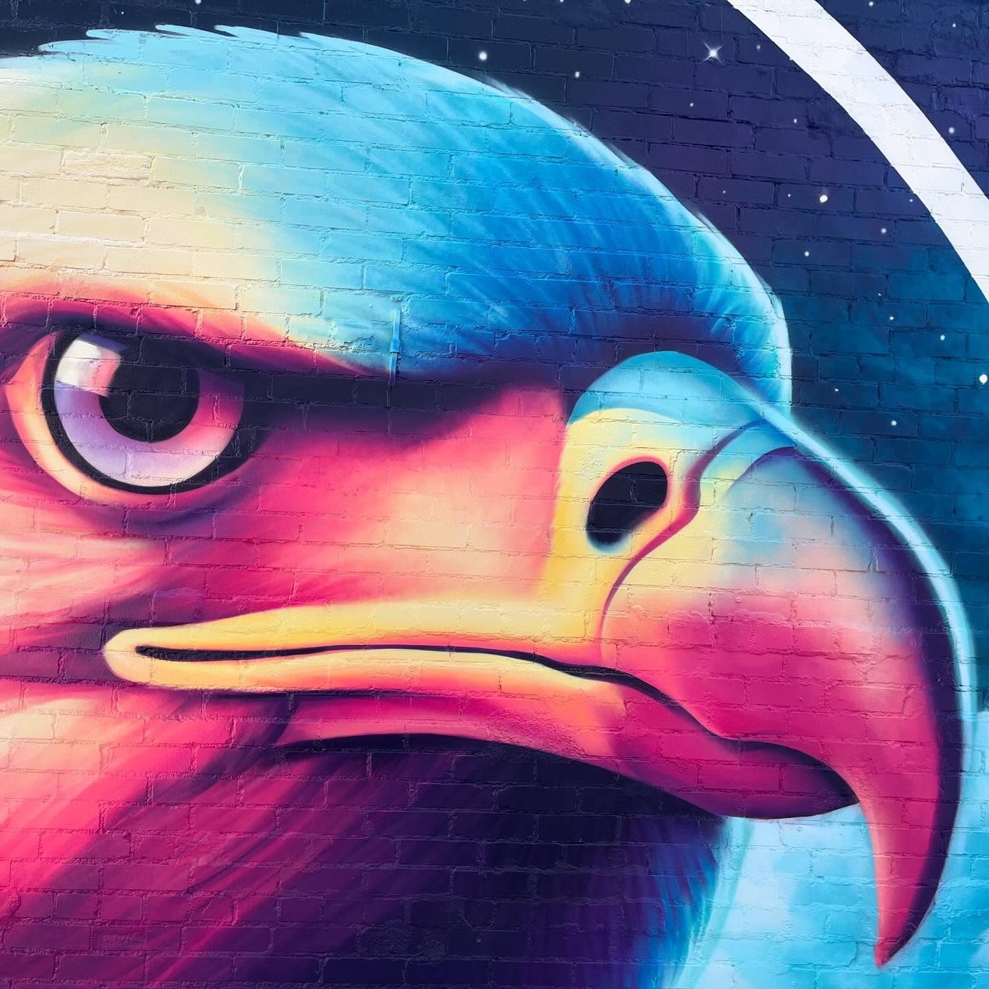 Who’s there? 👁️
#eagle #eaglemural #birdmural #birdart #birb #thistles #thistle #cloud #mural #montanacans #thedesignosaur #designosaur #muralist #muralartists #denverartist #denverstart #denverstreetart #streetart #sprayart #bigart