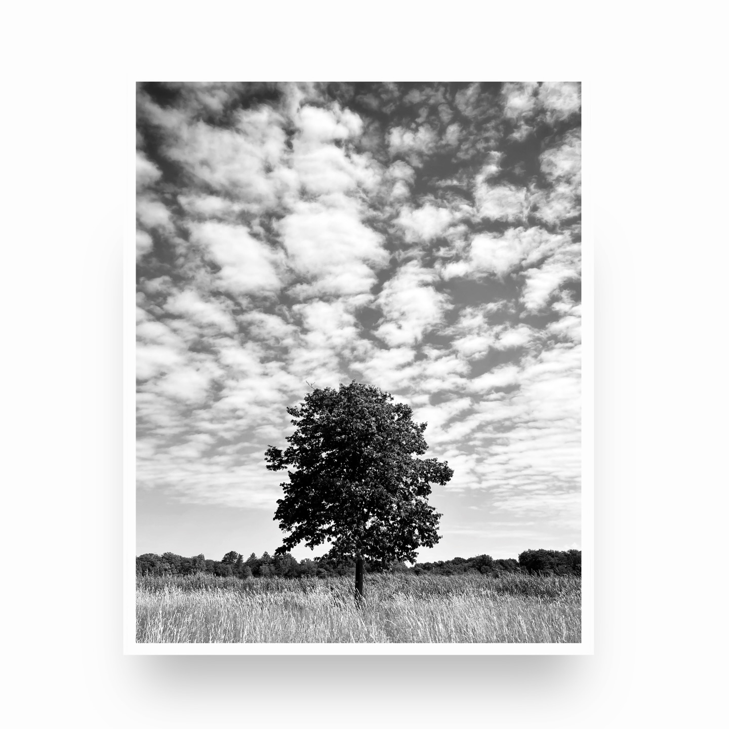 The Nature Collection 🍃 (Retail-ready wholesale prints now also available via Faire - direct link in bio). And …. breathe.
.
.
.
#faire #wholesaleart #naturewallart