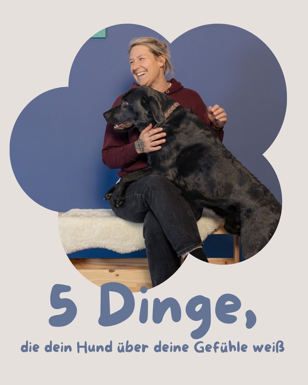 Die eigenen Gefühle wahrzunehmen in Verbindung mit dem eigenen Hund ist echt Next Level. Denn wir sind oft sehr auf unseren Hund fokussiert und vergessen unsere eigenen Bedürfnisse und Emotionen völlig. In unseren Ausbildungen der Tiergestützten Intervention klären wir euch dazu auf und geben euch immer wieder Impulse für den Blick in euch rein. Denn nicht nur euer Hund soll eine gute Ausbildung erhalten - auch ihr als Menschen, dürft neue Sichtweisen in Verbindung mit euren Hunden erhalten.