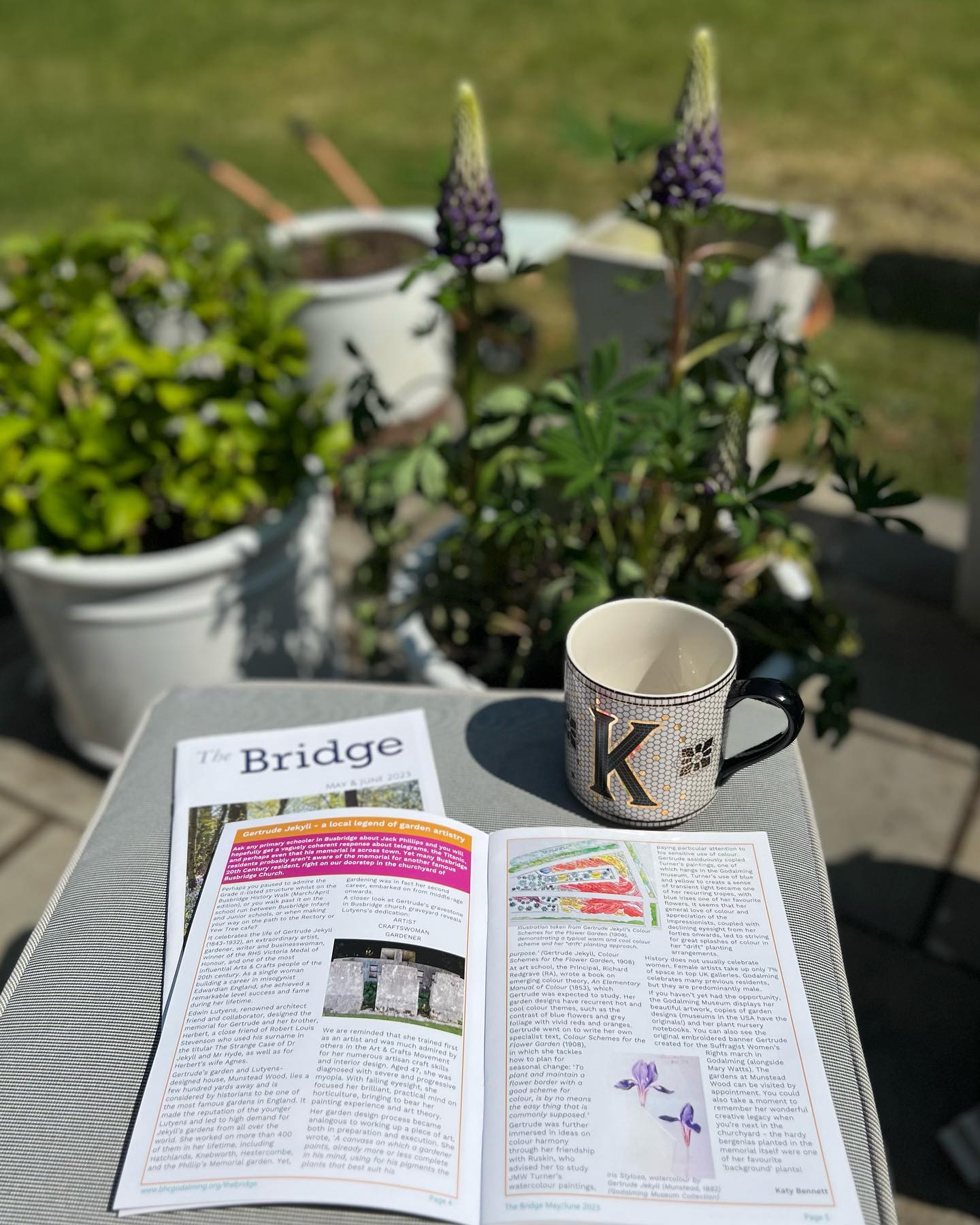 In May, I wrote a little piece for Surrey magazine, The Bridge, on one of our (unsung, imo) local heroes, Gertrude Jekyll. She was famous in her lifetime for magnificent ground-breaking garden designs across the world (more than 400) and lived on the outskirts of Godalming at Munstead Wood.
I wrote in my article (and the SBA diploma essay it originated from) that I felt Jekyll is not particularly well known beyond gardening enthusiasts, and certainly not as celebrated as many of Godalming’s past residents. Dear old Jack Phillips of Titanic fame has a pub, memorial garden, and permanence in local schools’ curriculum!
It’s wonderful and timely that the @nationaltrust has just announced they have purchased her estate with a view to restoring it and opening to the public.
This will be a fantastic NT addition to our beautiful corner of Surrey! Plus it means the public can pop to Munstead Wood then on to Winkworth Arboretum (also NT) a mile down the road.
Jekyll’s innovation in garden design was due in no small part to her deep appreciation of colour theory, learned at art school. Both Jekyll and Dr Fox, who created the visionary Winkworth Arboretum, wanted to “paint the landscape with colour”, the former with garden borders, the latter with trees.
The article is on my website (link in bio, or type this into your browser..
katybennett.art/projects
Swipe to see my painting of Rosa “Munstead Wood” (@david_austin_roses , sadly discontinued)
Credit to @timeoutlondon for the news image/story.
#munsteadwood #godalmingcommunity #surreylife #surreyhills #gertrudejekyll #gertrudejekyllgarden #nationaltrust #surreydaysout #surreydaysoutwithkids #godalming #busbridge