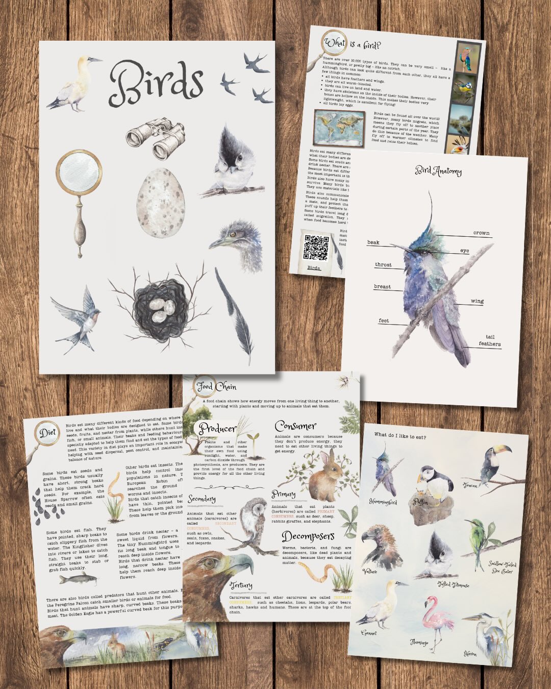 šļøLearning takes flight with my beautiful bird-themed homeschooling resource! š¦
Iām so excited to share this nature-inspired learning pack, featuring my original hand-painted watercolour bird illustrations.
Explore habitats, behaviour, and life cycles, and much more!
.
#Homeschooling #NatureStudy #BirdLovers #LearningThroughNature #learningresources