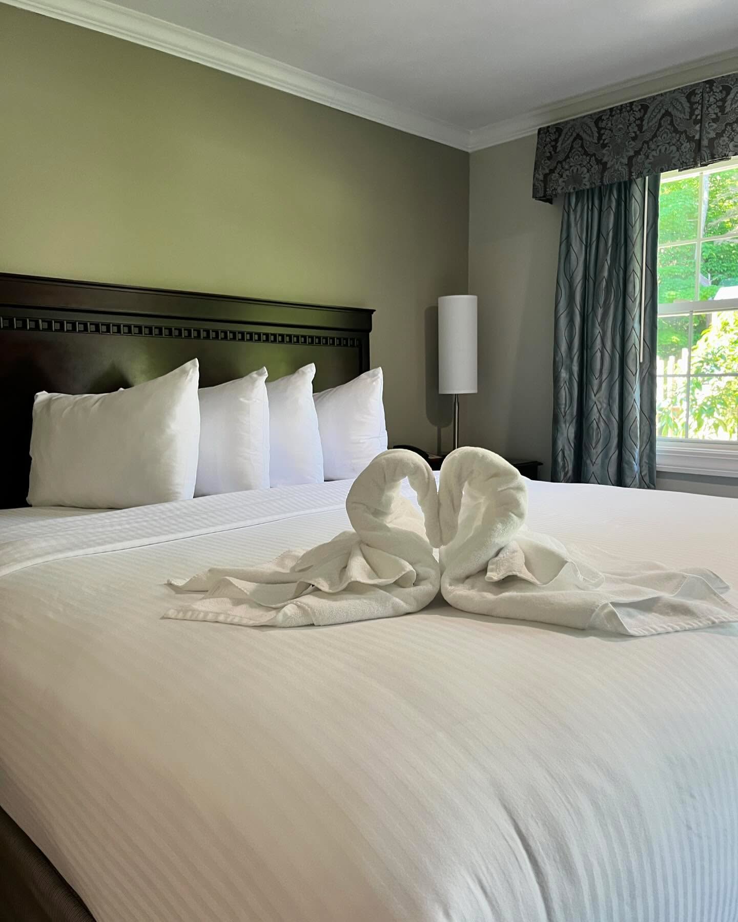 Stay with us in one of our relaxing Jacuzzi Suites! Equipped with the finest of towel swans 🦢 of course!
#visitnh #visitmwv
Book Us Today!
Call 📞 603-383-9680
Or
Go to ➡️ www.goldenappleinn.com