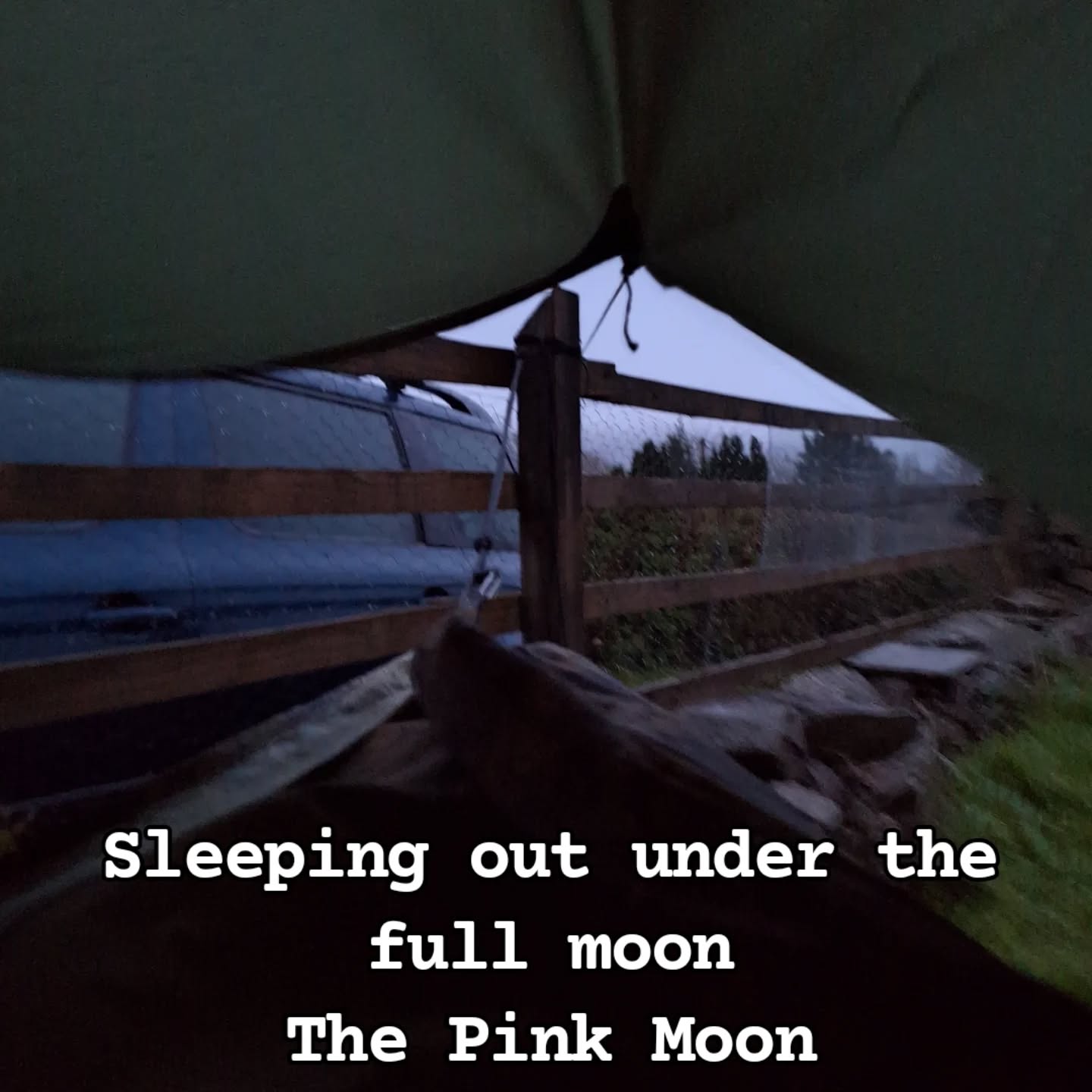 This month's moon is the Pink Moon - coming from Native America. It was named after the flowers blooming at this time.
Celtic names include the Budding Moo. & The New Seeds Moon.
This morning I walked around my friends' field looking at all the different plants blossoming and pushing up into the world.
I didn't see the moon as it was too cloudy but I knew she was there.
I got to hear the dawn chorus from above my head too.
#moonbathing