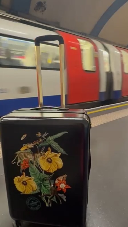 Sneak peek... something wild is coming!
Our new London Zoo luggage is getting ready for its next journey 👀🧳
Stay tuned... the full review is coming soon.
#PelhamGroup #LondonZoo #ZSL #Luggage #NewLaunch