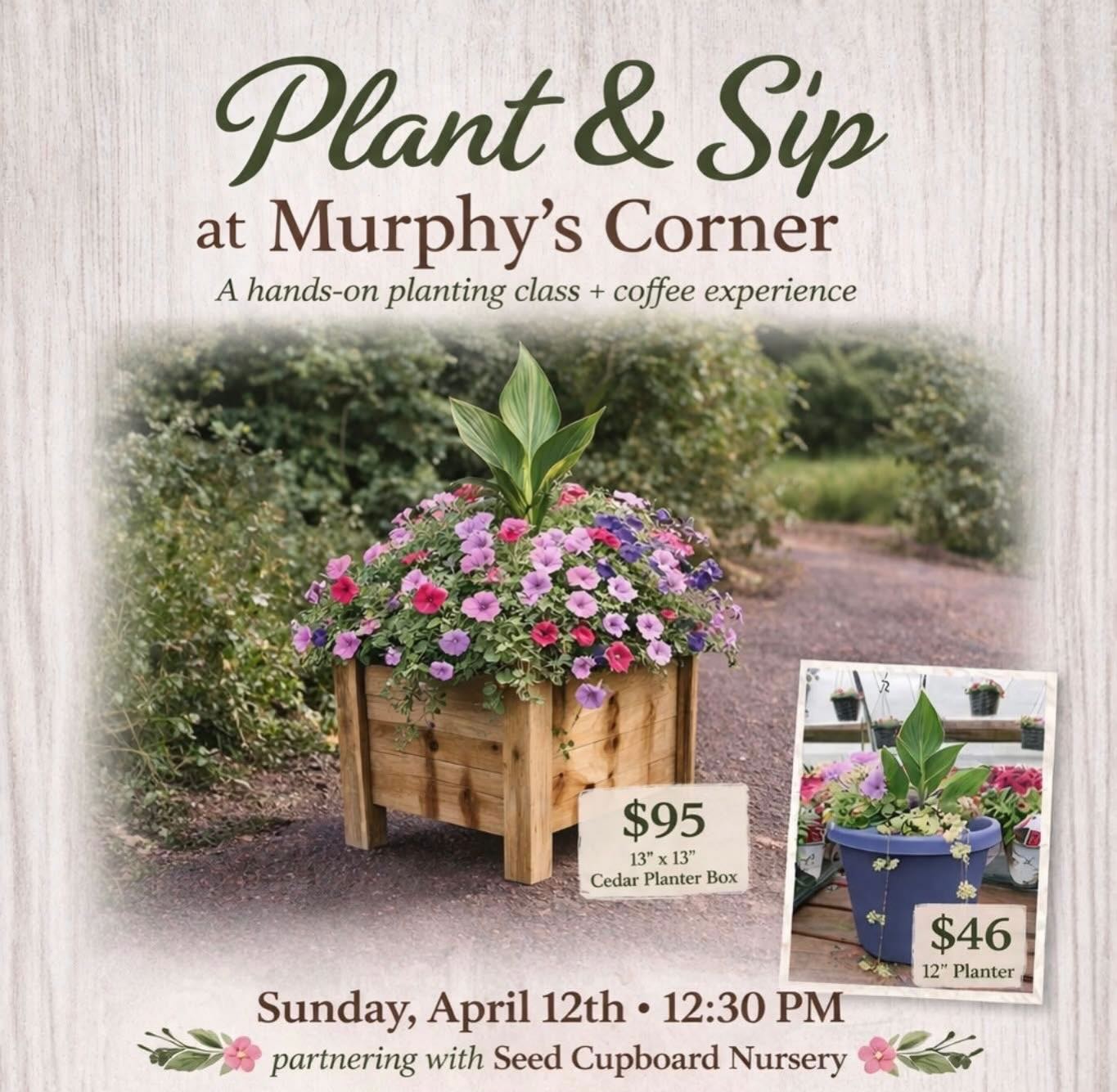 Meet us at @murphys_corner_coffee_co this Sunday for a plants and coffee! 🌼☕️ Seats are limited for planting, so RSVP with Murphys Corner now! 👉 (509) 797-0792