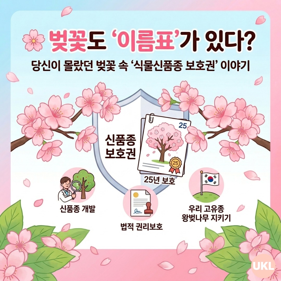 🌸 거리 속 벚꽃에도 '특허'가 존재한다?
1️⃣ 벚꽃에도 '특허'가?
벚나무는 '살아있는 발명품' 🔬
👉🏻 새로운 품종을 개발하면
'식물신품종 보호권'이 생겨요.
👉🏻 벚나무 같은 수목은 무려 25년 동안
법적 권리를 보호 받는다는 사실!
2️⃣ 우리 벚꽆을 지켜라!
일본 벚꽃 🆚 국산 왕벚나무
👉🏻 우리나라 고유종인 '제주 왕벚나무'를
지키는 것은 자산권 보호의 시작!
👉🏻 국산 품종을 등록하고 보급해야
해외에 로열티(사용료)를 내지 않아요.
3️⃣ 요즘 뜨는 '특허 벚꽃'
이런 벚꽃 보셨나요?
💖 필터 없이도 핑크빛이 진한 벚꽃
🏃 남들보다 일주일 빨리 피는 벚꽃
💪 병충해에 강해 관리가 쉬운 벚꽃
이렇듯, 모든 연구원들의 노력이 담긴
지식재산입니다. 👨🏻🔬
올봄엔 예쁜 꽃 뒤에 숨겨진
연구원들의 땀방울과
지식재산권의 가치도
함께 느껴보세요! 🌸
💡특허에 대해 궁금하다면? 전문가와 함께하세요!
#유니클특허법률사무소
각 분야의 전문 변리사 1:1 밀착 상담
👉🏻 지식재산 관련 문의는 전문가에게
언제든 편히 문의하세요 🙋🏻📱
🏠 https://www.unikl.co.kr/
📄 https://blog.naver.com/uniklpat
☎️ 043-257-7070
#벚꽃 #벚꽃축제 #봄나들이 #왕벚나무 #특허 #지식재산권 #상식