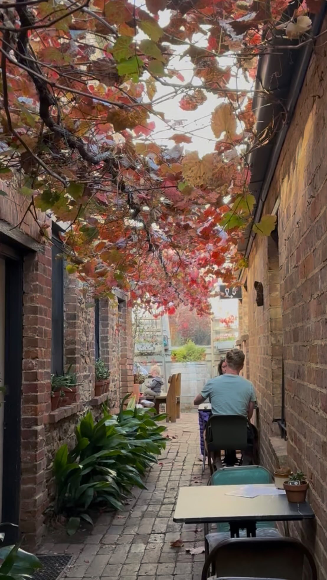 It’s one of our favourite times of year to be at Wandarra.
When the landscape starts to turn and everything feels a bit more unhurried.
It doesn’t last long,
but that’s part of why we love it. 🍂