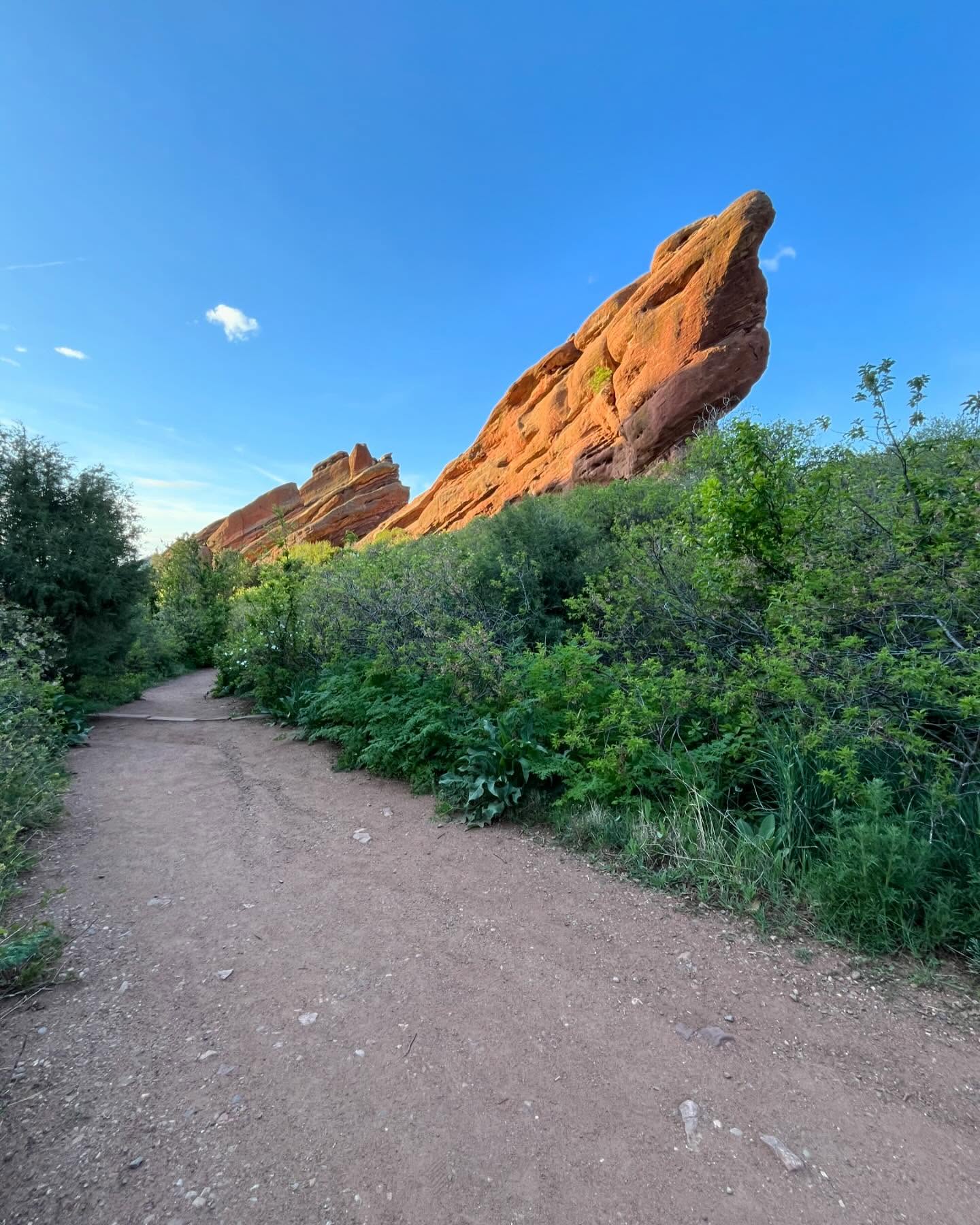 What animal do you see?
#hikecolorado #denvercolorado #denvermountainparks #redrocksamphitheater