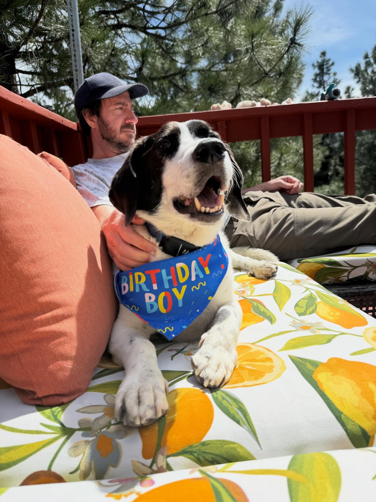 Doolie turned 12 on Thursday and I think it was the happiest birthday anyone’s ever had. 🐾❤️
•
•
•
#dogsoftahoe #bassethoundsofig #truckeedogsareluckydogs #wedontdeservedogs