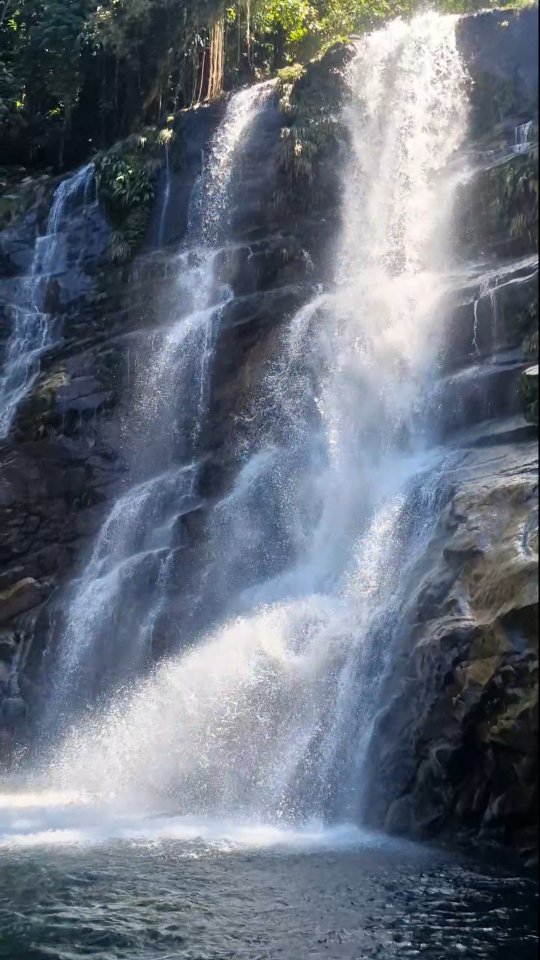 🌿💦 **Cachoeira da Melancia: desafio, recompensa e natureza selvagem em Paraty!**
Escondida no meio da Mata Atlântica, dentro da Serra da Bocaina, a Cachoeira da Melancia é considerada uma das mais **altas, remotas e impressionantes de Paraty**. O acesso? Só na raça: caminhada por trilha em meio à floresta, com muita biodiversidade e aquele clima de aventura que a gente ama 🌳🐦
Depois de cerca de 2h de trilha, vem a recompensa: uma queda imponente, poços de água cristalina e aquele mergulho que renova a alma 💦✨
E não para por aí… ainda rola mais um trecho até outra queda, perfeita pra relaxar, fazer um lanche e curtir o silêncio da natureza 🌿
👉 É uma trilha **moderada a desafiadora**, ideal pra quem gosta de caminhada, aventura e lugares pouco explorados.
🔥 Resumindo: suor na subida, sorriso garantido na chegada.
—
Marca quem vai encarar essa trilha com você 👇
#CachoeiraDaMelancia #ParatyRJ #TrilhaBrasil #Ecoturismo #AventuraNaNatureza