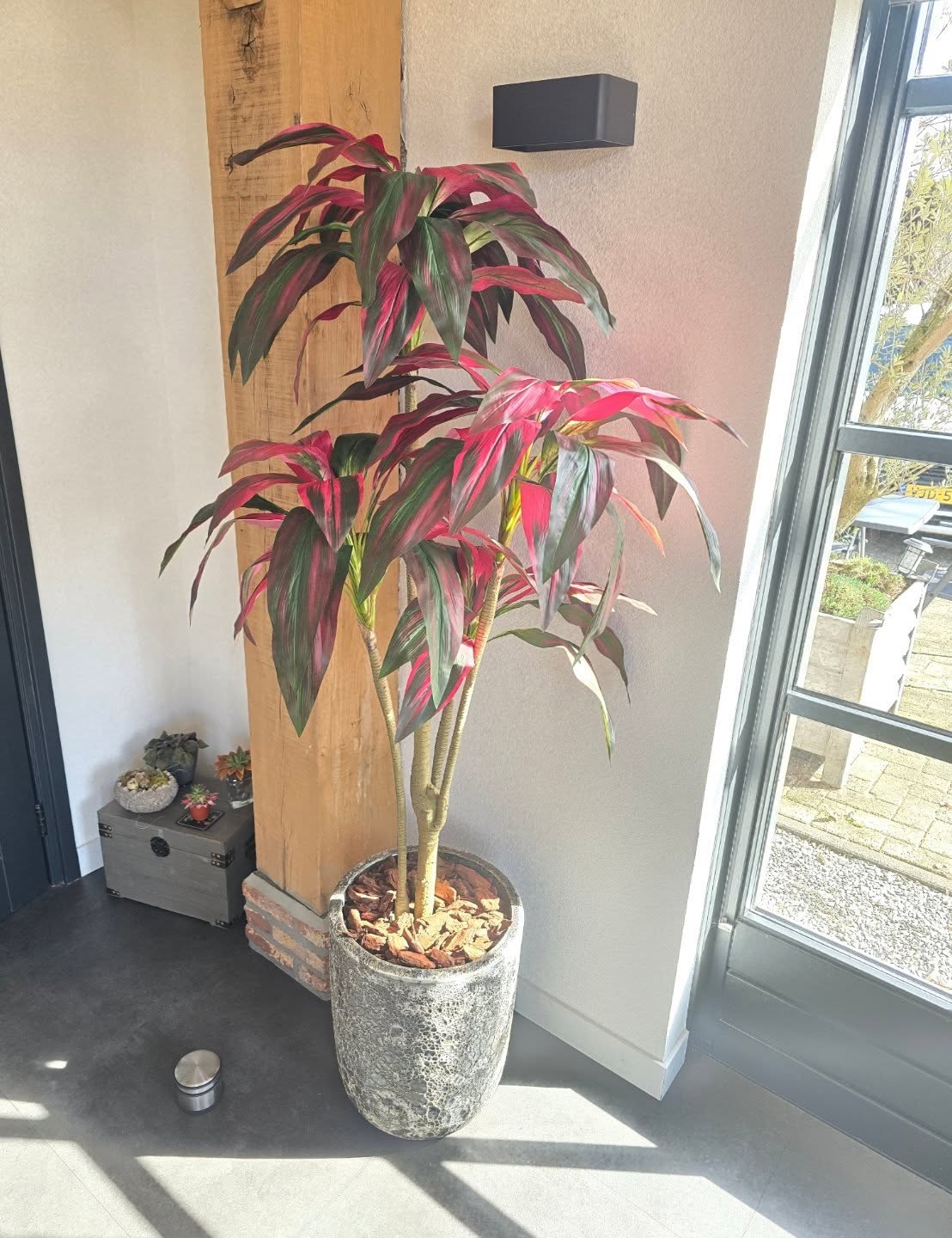 Weer een prachtige levering mogen verzorgen!
Deze mooie kunst Dracaena met rood blad is geleverd, vakkundig gemonteerd en stijlvol afgewerkt in een bijpassende pot. 🪴
Niet van echt te onderscheiden én onderhoudsvrij — de perfecte combinatie van uitstraling en gemak!
Van begin tot eind, complete service!
#kunstplant #dracaena #interieurbeplanting #groenstyling #onderhoudsvrij