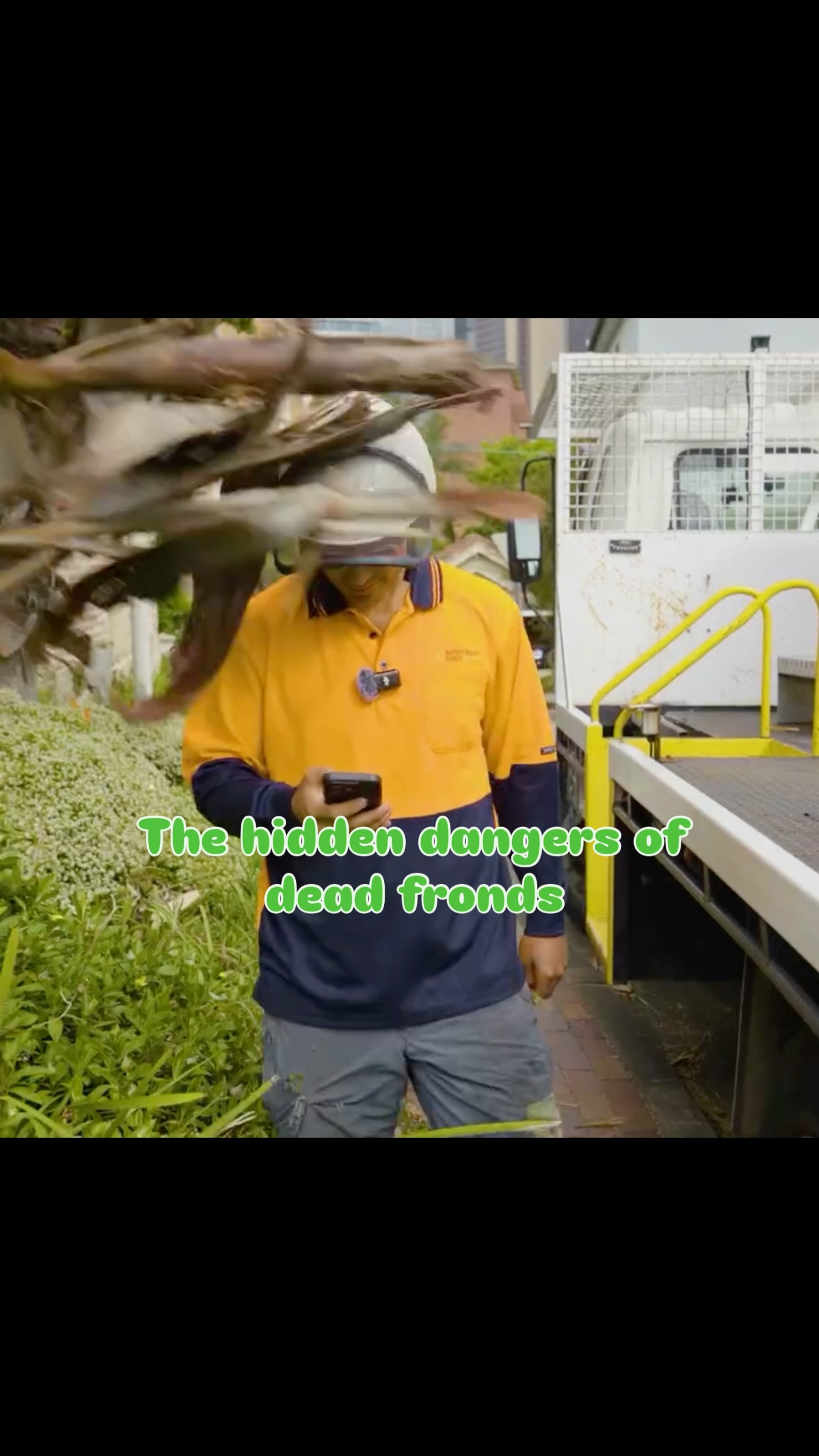 Dead fronds and seed pods hanging above pedestrian walkways might look harmless — but they’re a real safety hazard. A sudden gust of wind can send them crashing down, and without protection, serious injury could easily occur.
At Northern Beaches Arborist, our certified arborists use a cherry picker to safely access the canopy and remove dead fronds and debris with precision and care. This method eliminates the need for climbing, reduces risk, and delivers faster, more efficient results for both residential and commercial properties across the Northern Beaches.
Don’t wait until something falls — protect your property and the people who pass by.
👉 Visit northernbeachesarborist.com.au or call us today for a tree quote and professional tree hazard removal.
#NorthernBeachesArborist #TreeSafety #HazardPrevention #PalmFrondRemoval #ArboristExperts #CherryPickerAccess #TreeCareProfessionals #PedestrianSafety #SydneyTreeServices #FreeQuote #ProfessionalArborist #KeepWalkwaysSafe
