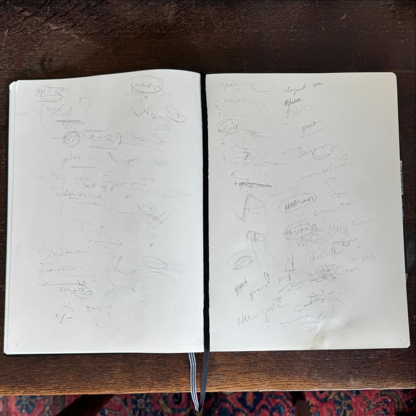 What my notebook looks like after a mediumship session.
#psychic #psychicmedium #psychicreadings #mediumshipreadings #mediumship #mediumshipreading #spirit #consciousness #continuationofconsciousness #lifeafterdeath #spiritual #spiritualjourney #spiritualgrowth #spirtuality #messagesfromspirit #mediumshiptestimonial