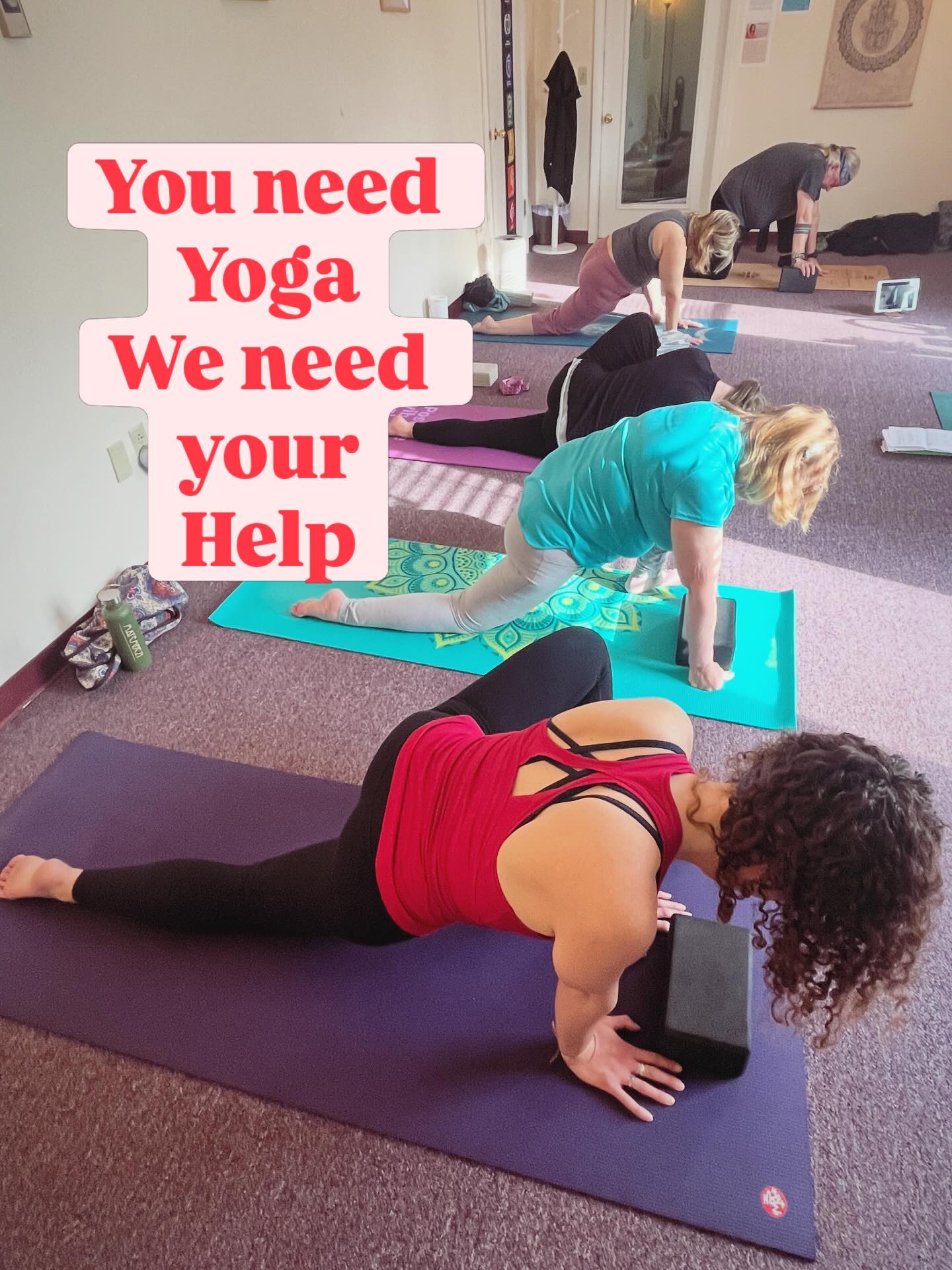It’s no question that Equipment Pilates is our hottest thing, but we’re still holding space for all the practices that we find beneficial to our clients’ bodies and minds. We have some questions and we need your help. Do you want Yoga to be more populated on the schedule? Are our class times not suitable? What can we do to help make it and/or mat Pilates and/or any other class more accessible so you can attend more often? We’ve been trying some things at the studio but want to target our efforts more specifically to your needs so we’d really appreciate it if you would fill out a brief survey for us. You’ll find it in our newsletter which can be found at the top of our FB page and in our IG bio. I ca also share a direct link by request. Thanks so much for your input! It means everything!