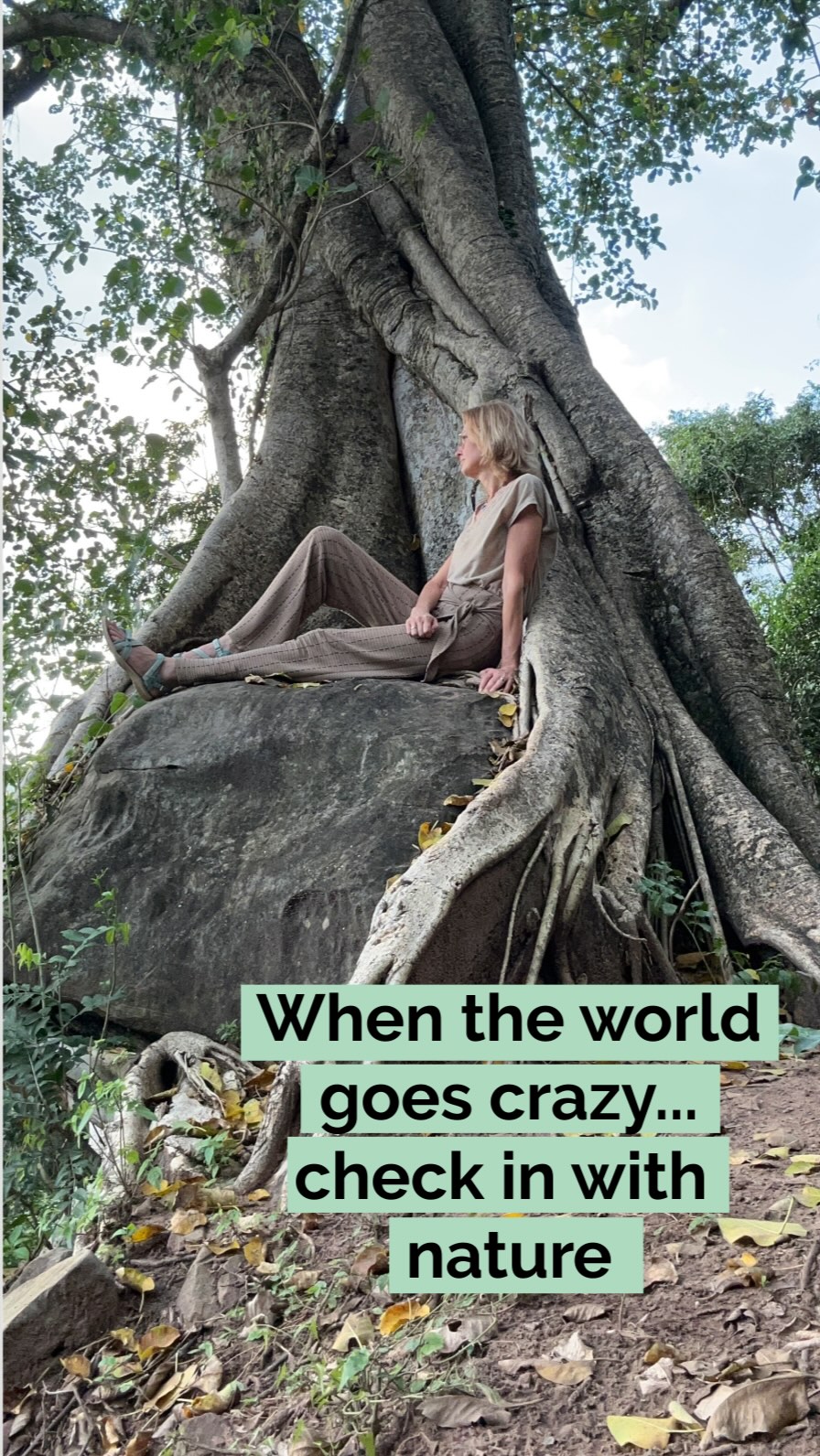 💚 A big green hug from me to you 💚 #naturalcalm #naturalremedies #natureheals #pause #bighug