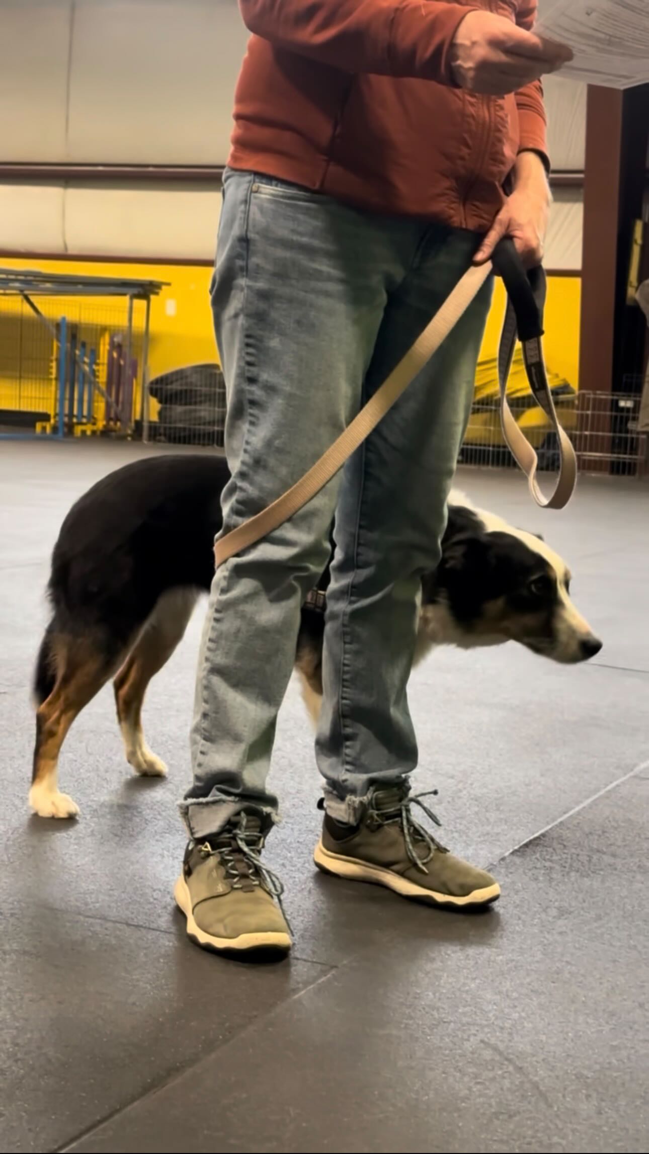 Protecting your dog matters.👇🏽
When your dog is truly scared, your job is to step in and advocate for them. Creating distance, picking them up, or removing them from the situation shows them they’re safe with you. 💛
That sense of protection builds trust and trust is the foundation of a confident, secure dog.
#dogtraining #dogboarding #dogtrainer