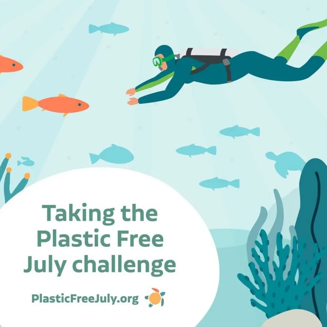 This year, at SACO Superfoods, we have decided to participate in the global movement @plasticfreejuly.
Plastic waste is a massive issue in the world and we want to be a part of those who are doing their best to reduce it.
At SACO, our products are ethically produced and environmentally friendly packaged. Despite reducing our waste, we still encounter plastic here and there. So, this month we will be doing our best to fight against this because one less plastic waste means less waste on our planet.
We encourage our followers to check the second image and see what small changes you can make to reduce waste.
Together, let's make a difference 🤗
#turnthetide #turnthetideonplastic #PlasticFreeJuly #plasticfreejuly2022 #ChooseToRefuse #plasticfree #endplasticwaste #bethesolution #plasticfreeliving #noplanetb #ditchplastic #singleuseplasticsucks #goingplasticfree #noplasticwaste #reduceplasticwaste #waronplastic #saynotoplastic #plasticfreelife #plasticfreeforthesea #plasticfreeseas #lowwasteliving #wastefreeplanet #lowimpactliving #lessplasticwaste #beatplasticpollution #sacosuperfoods
