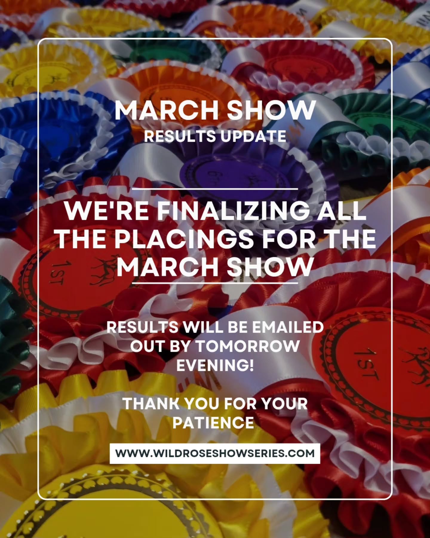 β¨ March Show Update β¨
Weβre finalizing the results for our March show and double-checking placings to make sure everything is accurate for everyone π€
π© Results will be emailed out tomorrow evening!
Thank you all so much for your patience! We canβt wait for you to see how you did! π΄π«
Thank you to everyone who participated this past month! π€ We had another record-breaking number of entries, and weβre so grateful for each and every one of you!
We do apologize that judging has taken a little longer than usual. With such a high volume of entries, our judges need a bit of extra time to carefully complete each class.
That said, we absolutely love seeing this level of participation! It brings such a strong sense of competition and truly makes the virtual show experience feel that much closer to a live show π΄β¨
#VirtualHorseShow #horseshowing #horseshows