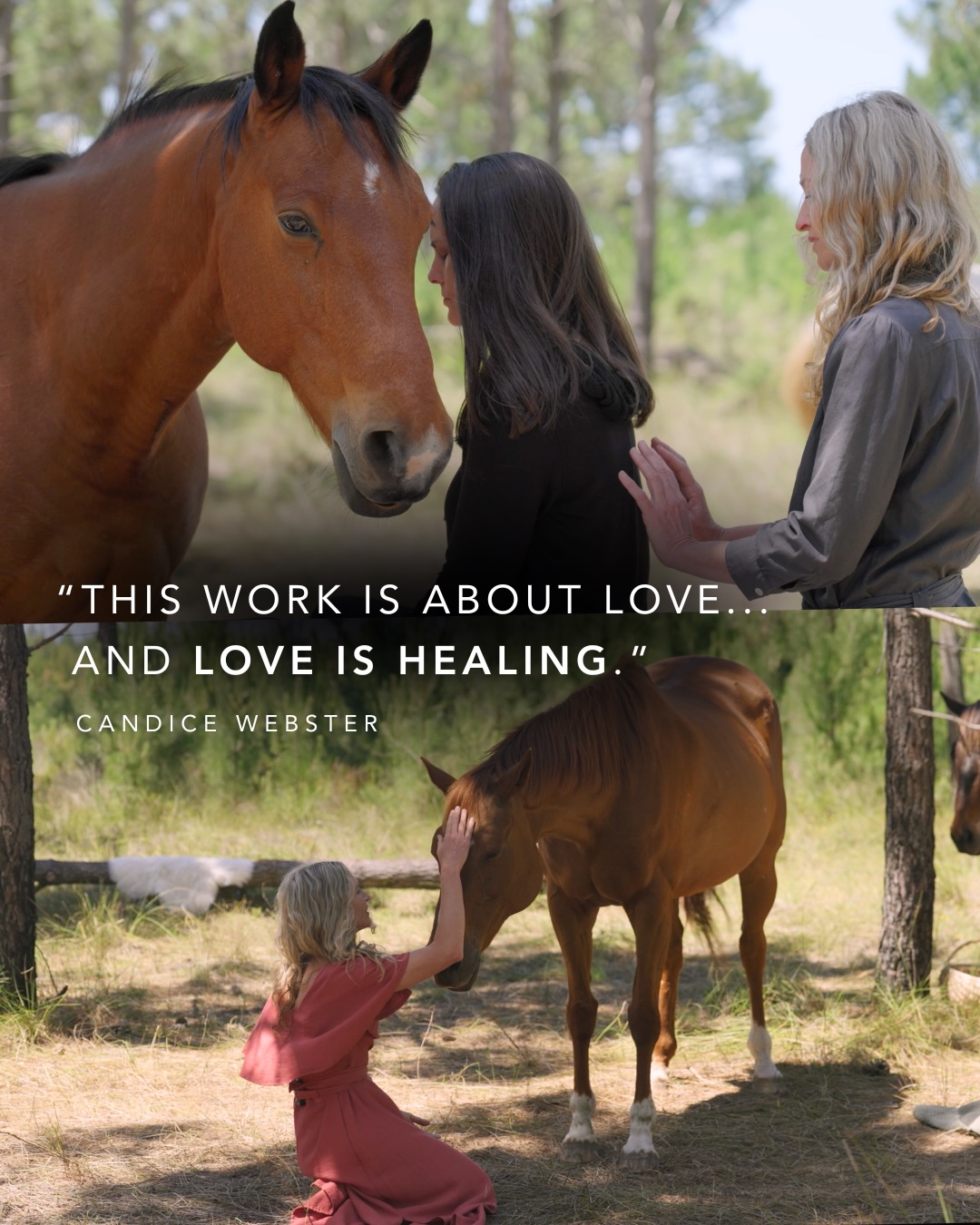 It’s finally time to share this healing transmission with the world.
When @__candicewebster__ shared these words, it felt like she summed up the entire 2.5 years we spent creating @rescuedheartsfilm.
“This work is about love… and love is healing.”
Rescued Hearts is available to watch online between April 1 - 8.
You can purchase your ticket at rescuedheartsfilm.com
When you watch, we encourage you to carve out two sacred hours to be fully present… to witness… to feel… to laugh… to cry… and to breathe.
May it speak directly to your heart ❤️🔥
Subtitles available in 7 languages — Spanish, French, German, Italian, Dutch, Arabic, and Hebrew.
#CandiceWebster #HealingWithHorses #RescuedHeartsFilm #HorseMedicine #WorldPremiere