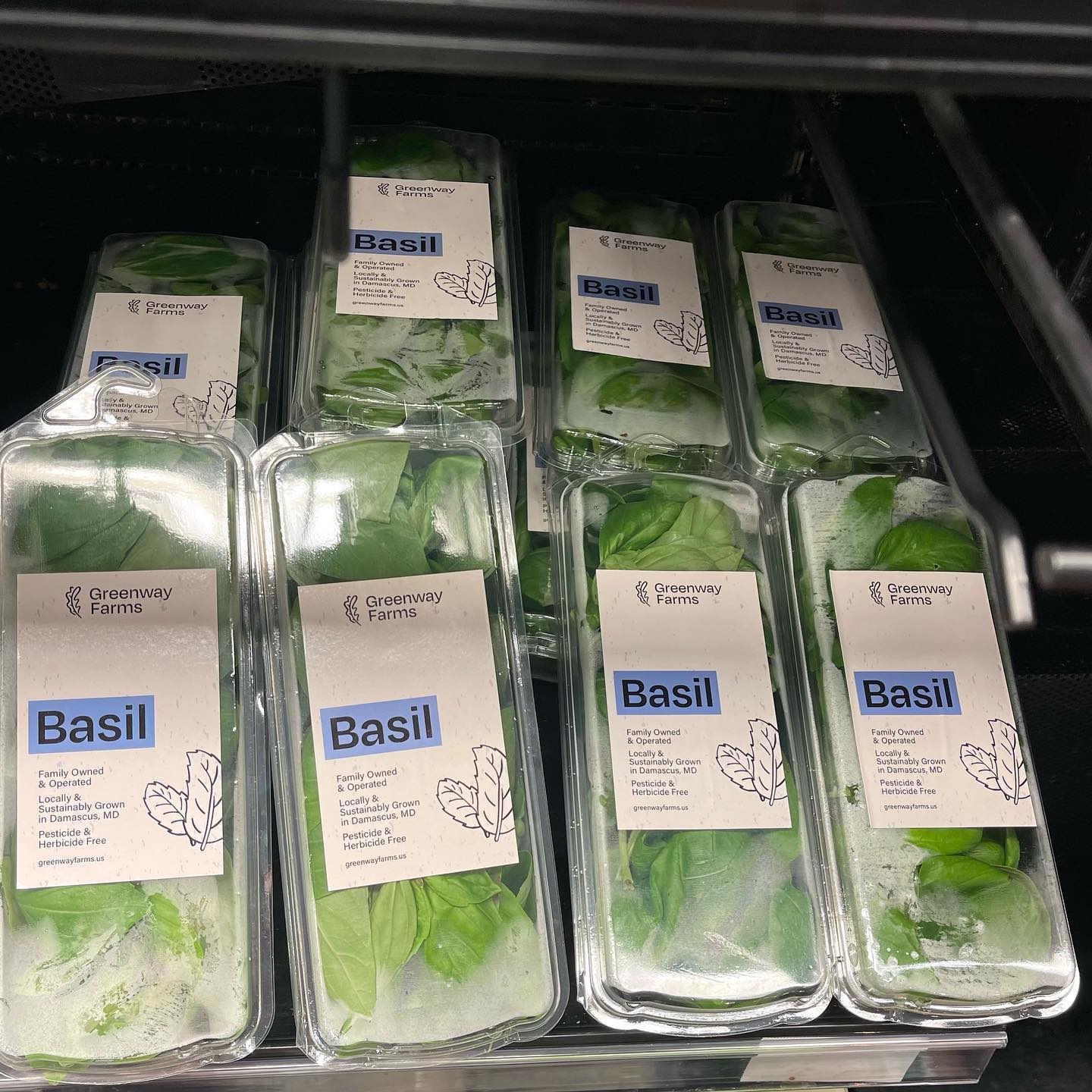 Roses are red, violets are blue, our basil is green and good for you too!
Greenway Farms is family-owned and operated, meaning we understand the importance of making your loved ones a priority. Our locally grown and harvested basil is herbicide and pesticide free because we put the health of the people we care about above all else…that means you guys!
Check out our tasty and good-for-you produce at a Whole Foods near you today!
#wholefoods #wholefoodsmarket #locallygrown #healthiswealth