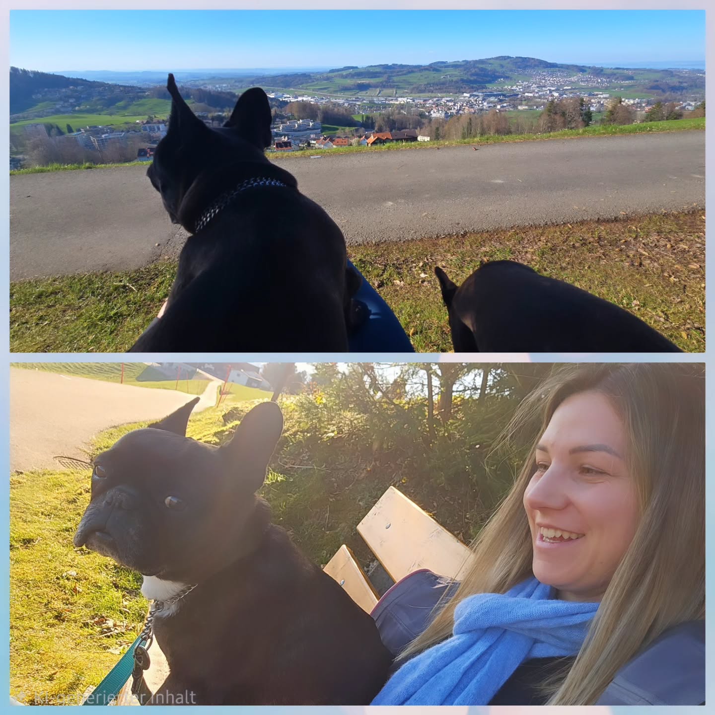 Ufem Bänkli höckle und de Früehlig-Fiiirobig usklinge loo. Drüü Hüener ufem Bänkli🤣❤️