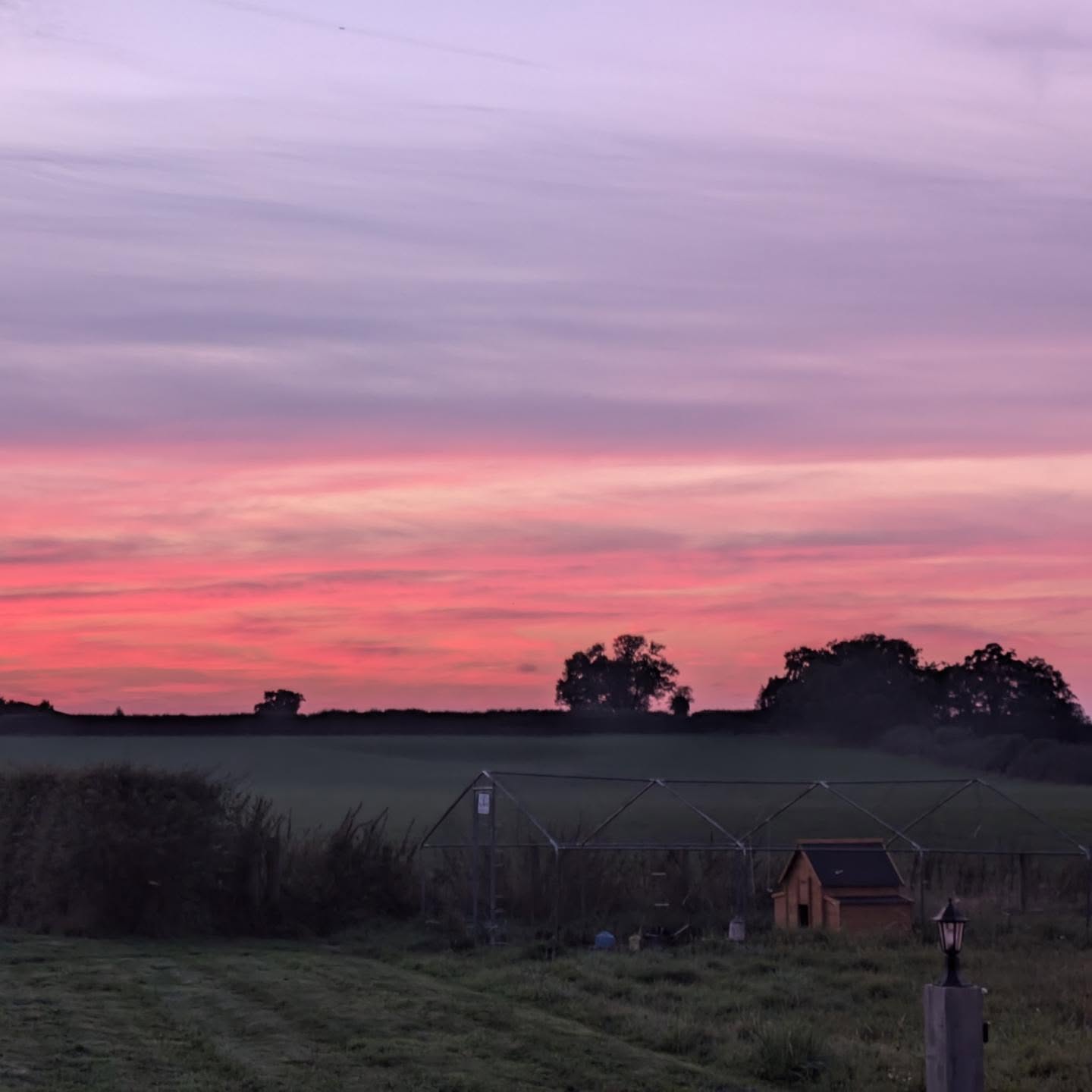 Wow what a sunset this evening ๐ - the colours are incredible ๐ฒ๐
#sunset #bedandbreakfasts #chickens #autumn #sunsetvibes #shropshire #wem