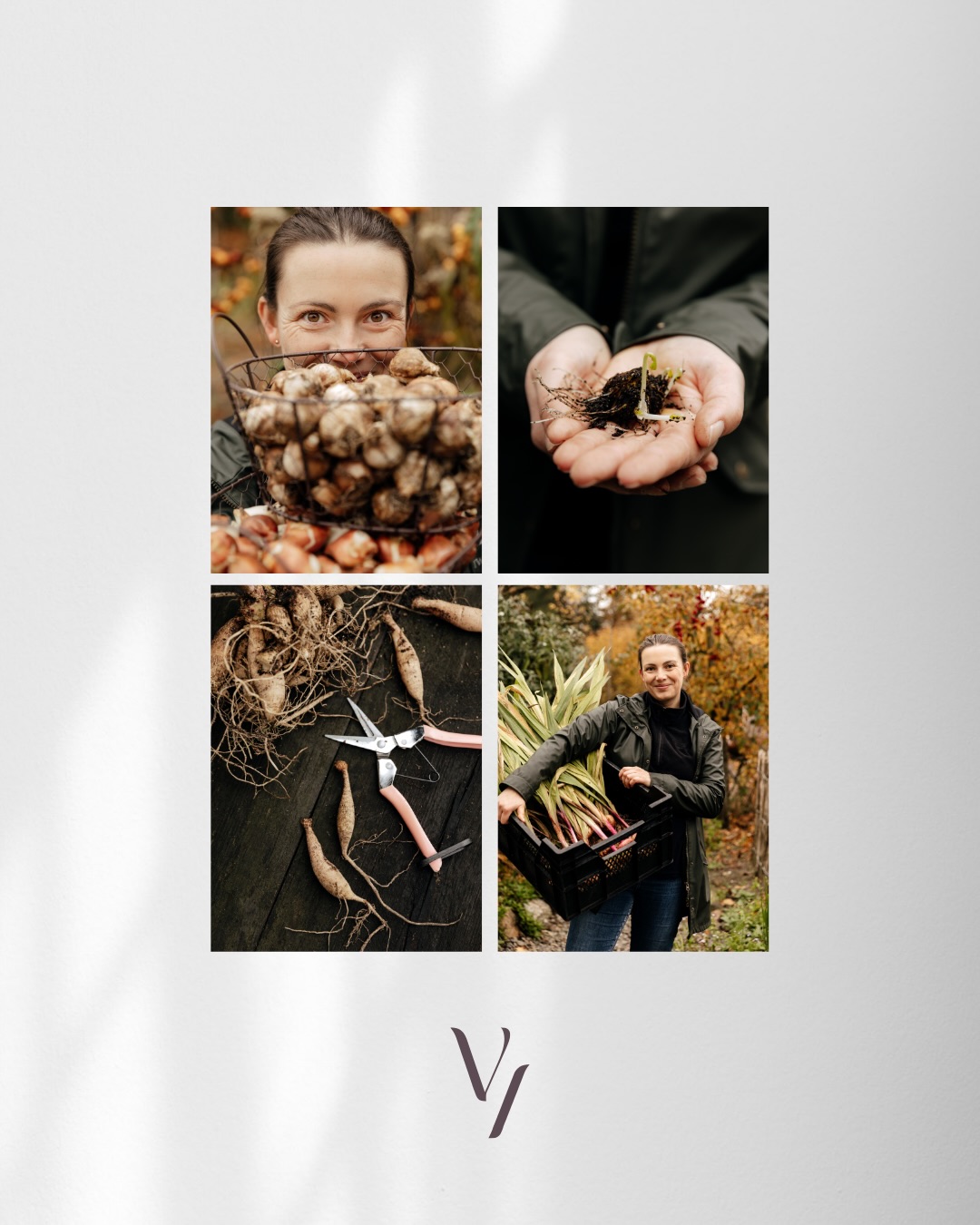Bevor es nächste Woche mit Christin von @heidjer_bloomen ins Frühlings-Shooting geht (und damit in die zweite Runde unserer Jahresbegleitung), möchte ich nochmal kurz zurückgehen zu dem, was im Herbst entstanden ist (ja auch wenn wir alle definitiv nun in Frühlingsstimmung sind 😅).
Die Bilder aus dem Herbst zeigen gut, warum ein Personal Brand Shooting der Startschuss zu einer langfristigen Zusammenarbeit sein kann. Denn viele Personal Brands brauchen regelmässig Material um ihren Prozess, ihre Projekte und Angebote zu zeigen.
Das bedeutet, das Personal Brand Shooting ist der Startschuss. Der Anfang worauf wir aufbauen und was sich dann weiterentwickeln darf um noch mehr Tiefe in deiner Bildwelt entstehen zu lassen! ✨
Deswegen liebe ich Jahresbegleitungen so sehr. Denn ich bin nicht die Fotografin „für ein paar schöne Bilder“ sondern die, die mit dir gemeinsam sichtbar macht, was alles zu dir und deiner Arbeit gehört.
📷
Ich bin Vicky – Interior & Brand Fotografin.
Meine Bilder zeigen nicht nur einzelne Prozesse oder Portraits, sondern immer auch die Geschichte dazwischen.
Und wenn du spürst, dass du auch mehr zu erzählen hast als in einem Shooting Platz findet: 2 Plätze für langfristige Begleitungen sind ab Juni frei ❤️