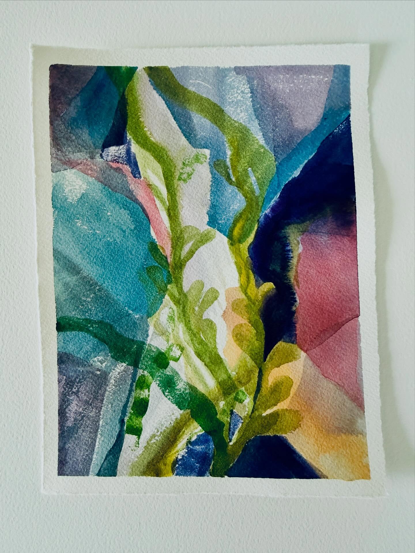 Seaweed. The 100 Day Project.
So excited for low tides this spring season. Hoping to make it out to the coast when the tides are super low (expected in mid May and mid June) to get out and explore the Oregon coast tide pools.
.
#the100dayproject #abstractwatercolor #pnwartist