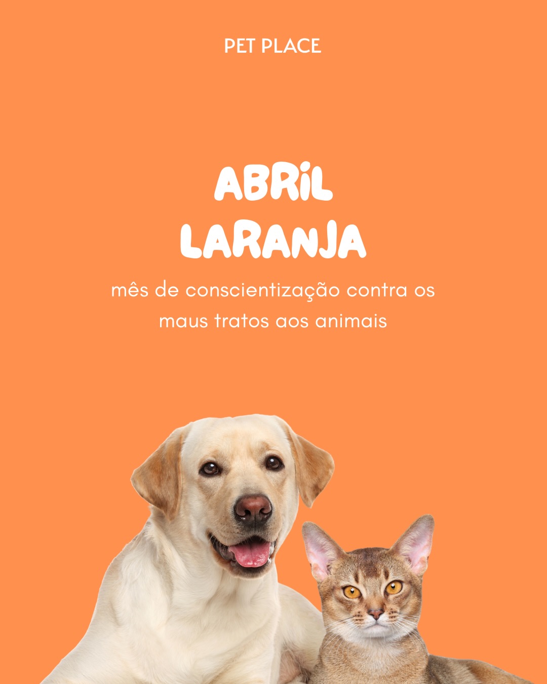 Na Petplace, acreditamos que promover informação, respeito e cuidado é essencial para construir uma relação mais responsável e empática com os animais. O bem estar animal começa com atitudes simples, como oferecer cuidados adequados, atenção veterinária e um
ambiente seguro para cada espécie.
Porque respeito e cuidado com os animais devem existir todos os dias e para TODOS. 🐾
Arrasta pro lado e compartilhe.
#Petplace #AbrilLaranja #ContraOsMausTratos #BemEstarAnimal #RespeitoAnimal