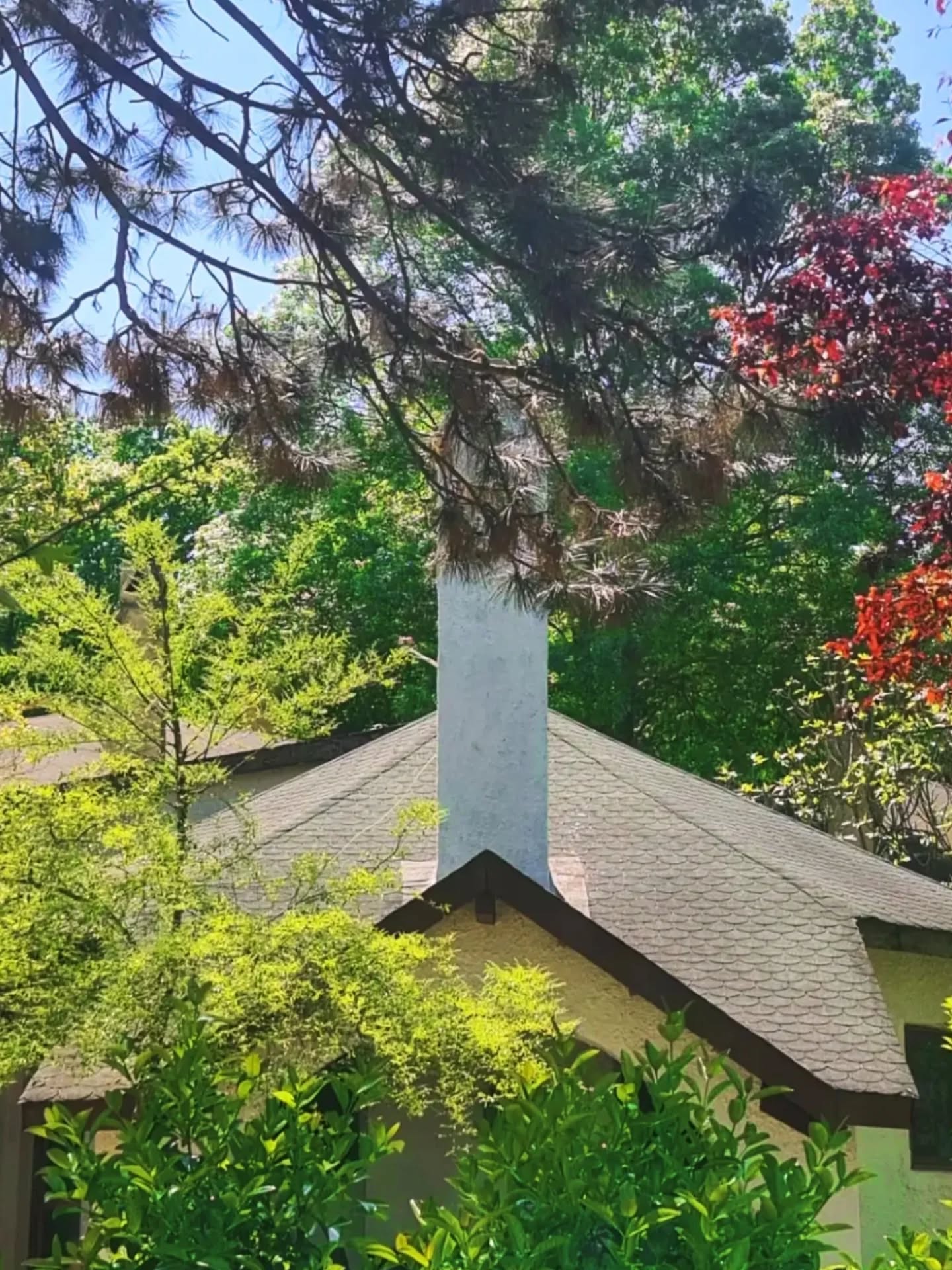 "Hayallerin gerçeğe dönüştüğü Polonezköy Country Club'da en iyi konfor ve doğal güzelliklerle kendinizi şımartın."
"Indulge in the finest comforts and natural beauty at Polonezköy Country Club - where dreams come true."
#wildliferetreat #zoolodge #yılmazsanlı #novumarmentum #otel hotel hotels istanbul istanbulotelleri konaklama tatil haftasonu bayramtatili polonezköytabiatparkı polonezköyotelleri zoo animals şömine bungalow bungalowstyle bungalowevleri bungalowotel köyevi kırevi villagehouse countryhouse istanbulzoo polonezköyzoo hayvanatbahçesindekonaklama deer
@polonezkoycountryclub