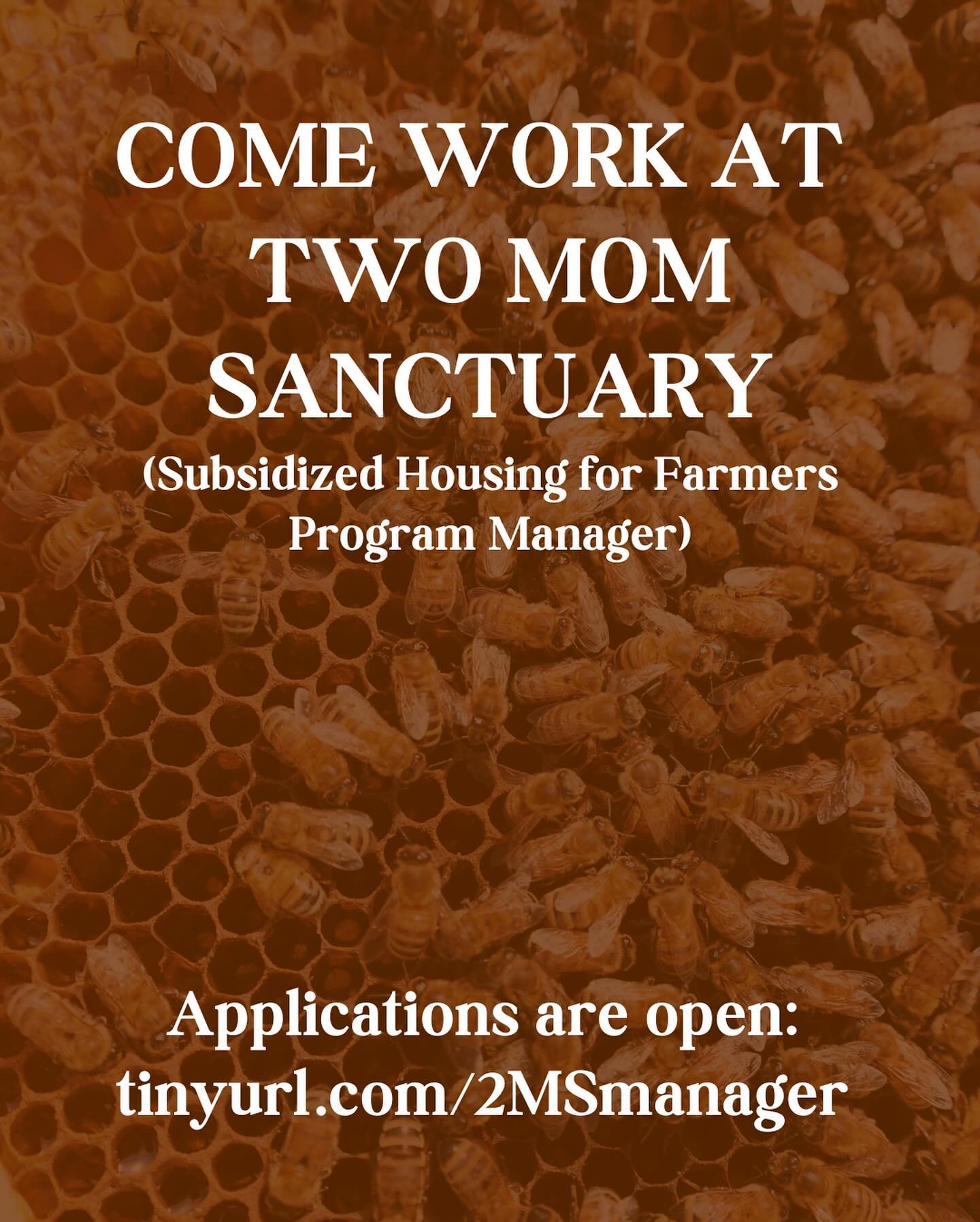 Learn more about this next chapter for @twomomsanctuary by visiting our pinned posts.
Application link in bio, please share! Tag your friends who would be a good fit! For a community focused housing project to work, it must be community driven - every share helps build community!