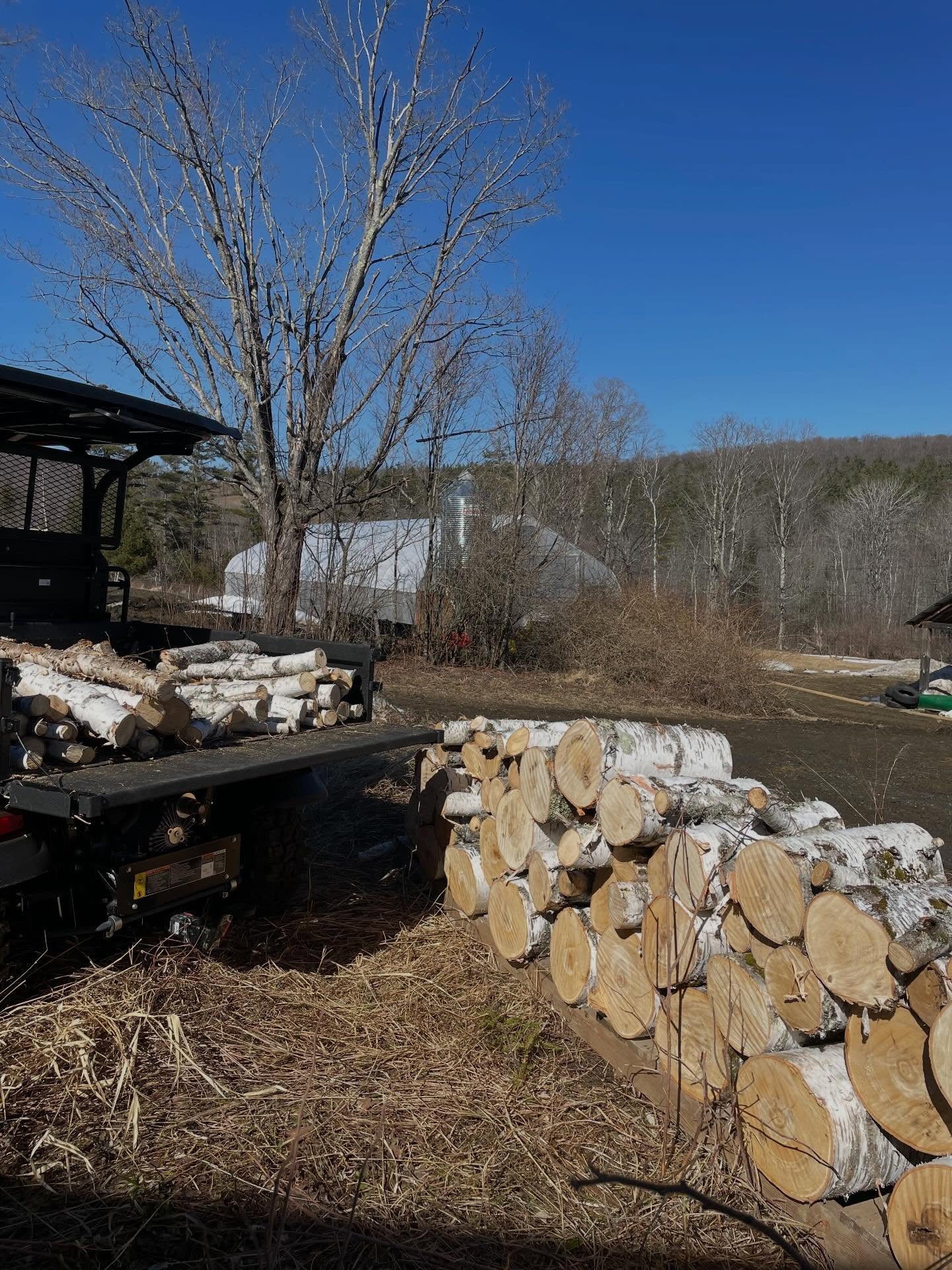 Grateful for days like these, and for neighbors with backhoe attachments.
About a year ago there was a big ice storm that took down a bunch of trees on the property. Now that the snow is gone and our season is just ahead of us it’s time to start cleaning up all the “sticks” starting with a few that were blocking access into pastures. A birch had fallen right on a rock wall that kept it propped up off the ground, allowing it to cure and not rot. It feels good to have now harvested our first amount of wood from the land and created more wildlife habitat with the piles of sticks not worth saving. Much more to come!
It’s the last @brattwintermarket on Saturday. We’d love to see you there 👋