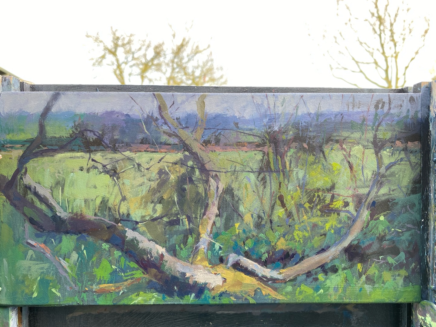 My second painting from yesterday looking at the apple tree from a different angle,the light changed a bit from when I began.
#appletree #appletreepainting