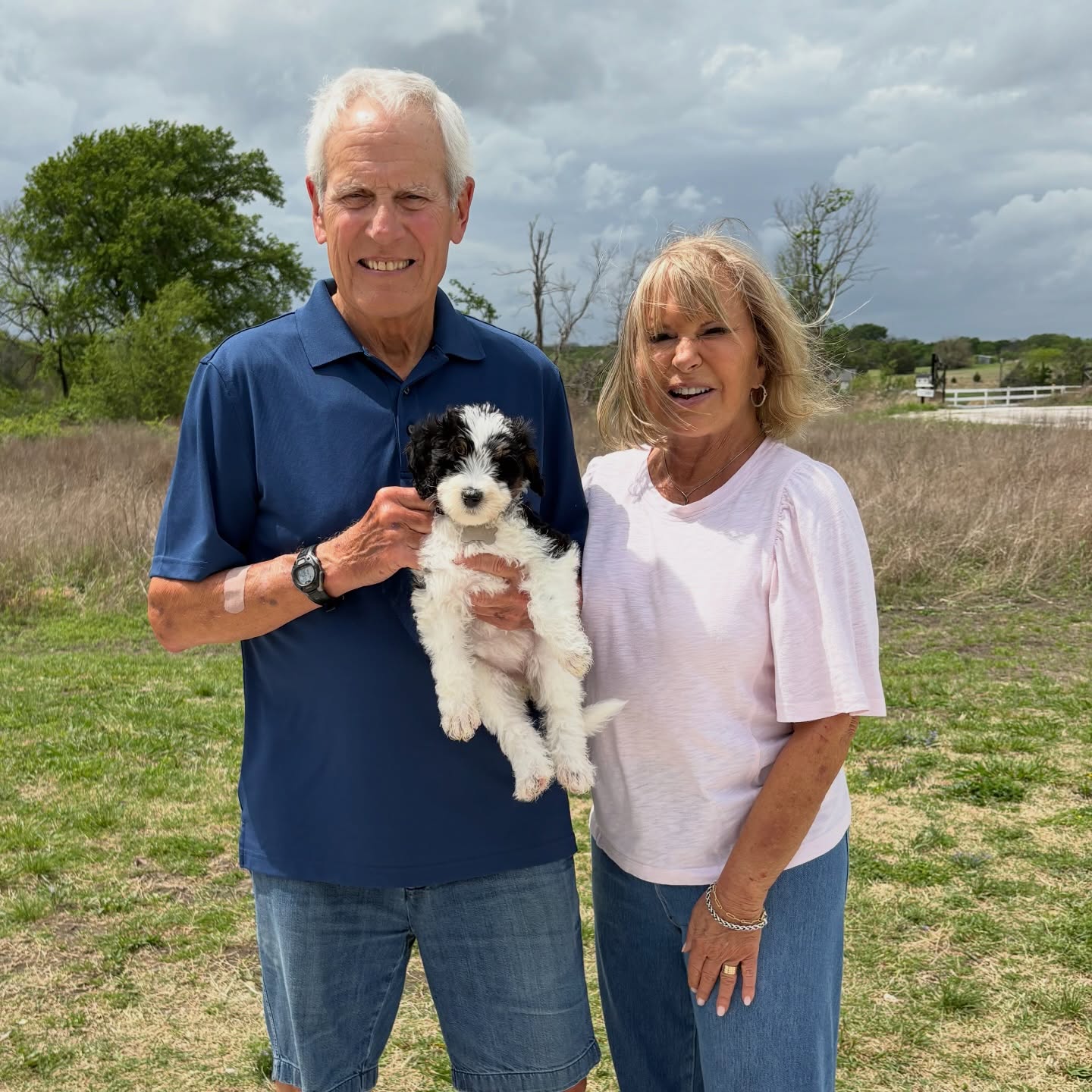 Miss Purple 💜 was our very first puppy adopted from Grace + Bernie’s mini multi-gen bernedoodles this past weekend! Her mom and dad are veterans to raising doodle puppies so we are certain that she going to have an amazing life 💕💕
4 puppies are still available from this litter! check them out on our website or message us for more info!
#bernedoodlepuppy #minibernedoodle #bernedoodle