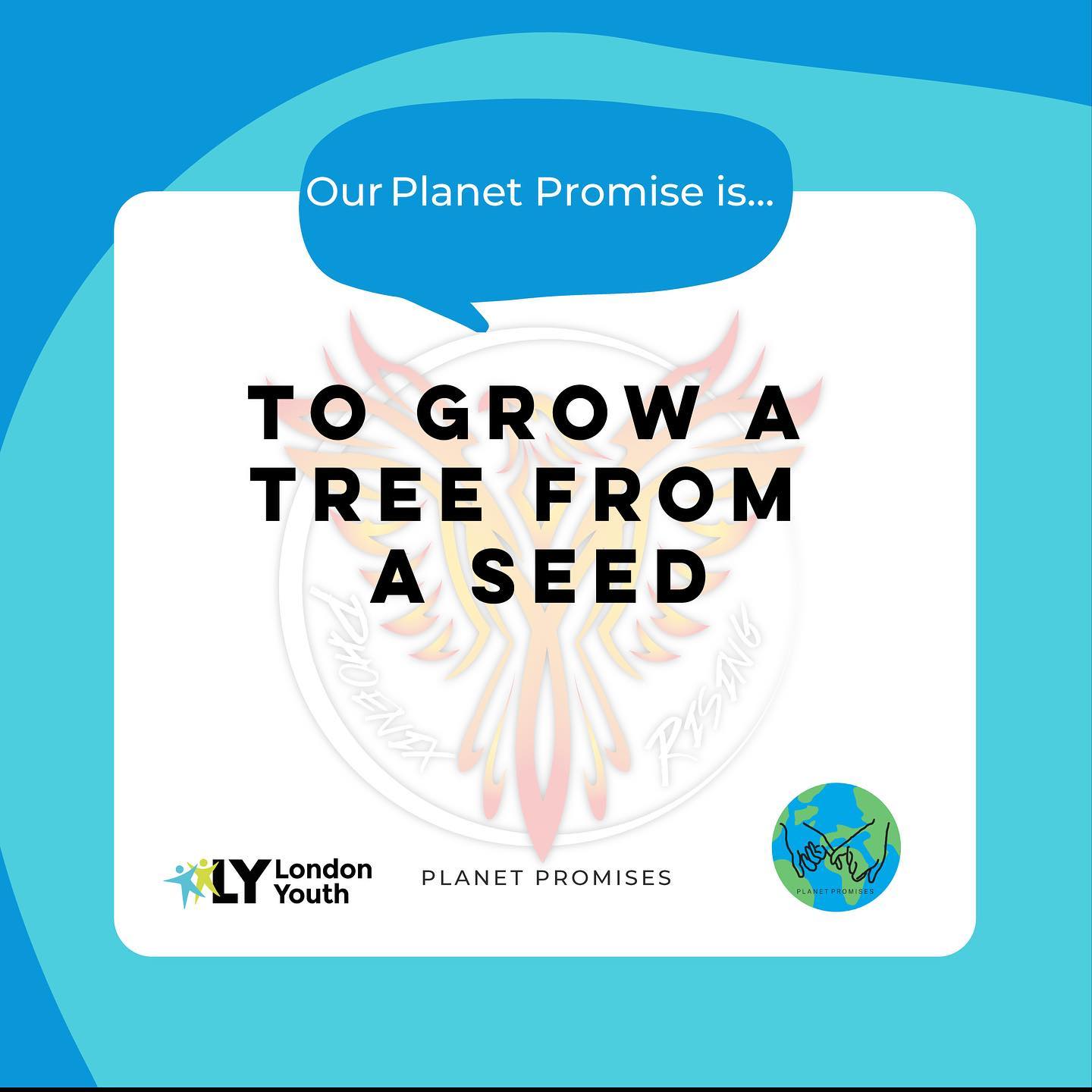 It’s Earth Day
22nd April 2021
Here we make our #planetpromise as we pledge to grow trees from seeds @london_youth
This is part of our #environmental programme. Check out or lemon and apple trees
Check the website for more.
#earthday2021 #earth #planet #promise #environment #youth #charity #london #uk #brent #boroughofbrent #climatechange #doingourpart #community #trees #planting #seeds #lemon #apple