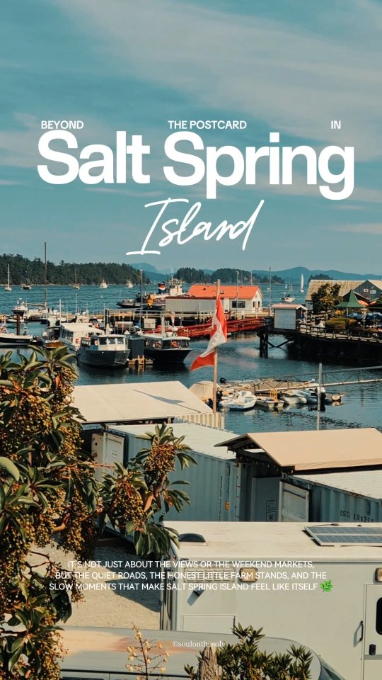 Salt Spring is best done slow — a few good places, no real rush, and letting the day unfold a bit on its own.
✨ Stay somewhere like Quarrystone, where mornings feel a little softer and you’re in no hurry to leave.
✨ Head out to Sacred Mountain Lavender while the light is still gentle.
✨ Then ease into the Saturday Market and just wander without a plan.
✨ Let the afternoon drift toward Vesuvius Beach — it’s the kind of place you think will be a quick stop, but rarely is.
✨ And if you’re near Salt Spring Cider, go for a tasting… it usually turns into staying longer than expected.
✨ If you can, book dinner at Hastings House to end the day. It’s one of those places that quietly pulls everything together.
✨ Somewhere between stops, you’ll pass tucked-away ceramic and pottery studios that feel more like discoveries than destinations — the kind of places you almost want to keep to yourself.
Save this for your next island weekend 🔖
#explorebc #supernaturalbc