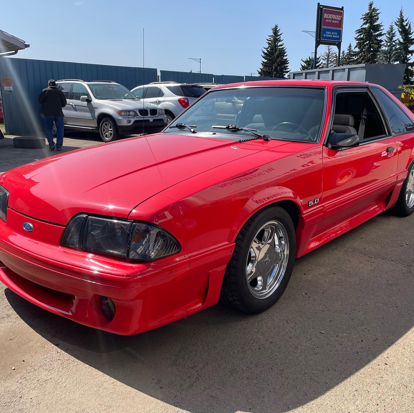 Vehicles found in our parking lot!
93 Mustang GT. The last year of the fox body!
â˘
â˘
â˘
#familybusiness #gogreen #recycle #recycler #rodway #truckparts #carparts #used #usedparts #autorecycling #autorecyclers #junkyard #scrapyard #yegauto #edmonton #yegautomotive #yegsmallbusiness #yegshoplocal #yegauto #shoplocalcanada #yegbusiness #upcycling #reuse #rrr #carbonfootprint #foxbody #mustanggt #vehiclesfoundinourparkinglot