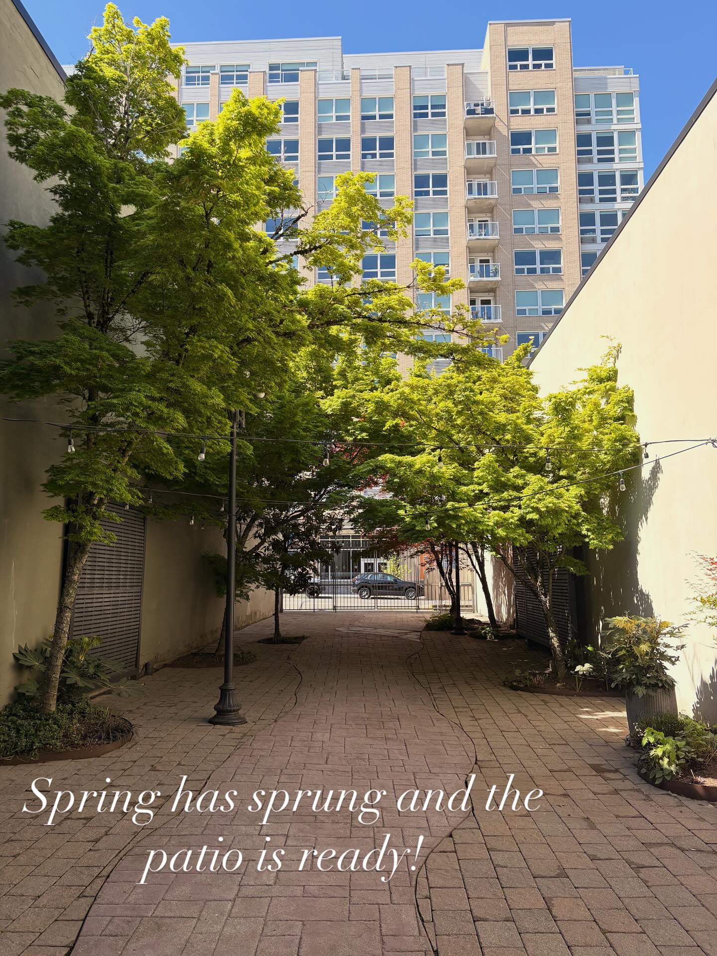 Did you know our secluded patio comes with our space rental, no extra charge!