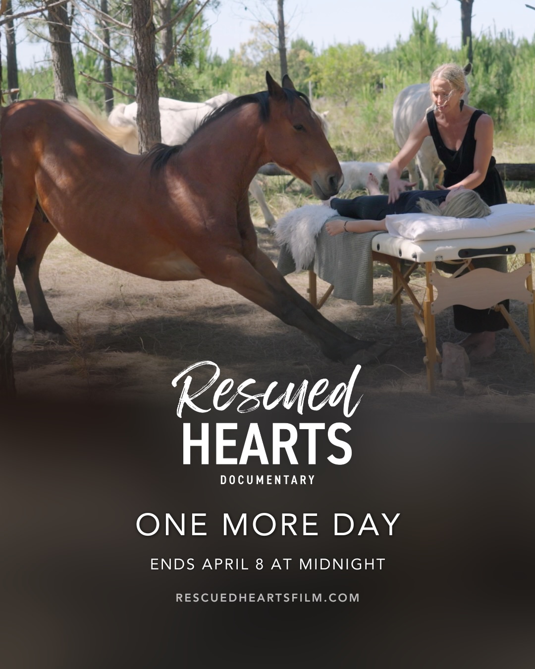 One more day to experience Rescued Hearts!
If you’ve already watched, thank you for being part of this journey.
And if you purchased a ticket and haven’t had a chance to watch yet, there is still time.
The screening window closes on April 8 at midnight (Pacific Time). As long as you press play before then, you’ll have 48 hours from that moment to finish the film.
We aren’t able to extend access beyond that window, so we truly hope you’re able to carve out the time.
We hope the film speaks directly to your heart ❤️🔥
Tickets available at rescuedheartsfilm.com
#rescuedheartsfilm #documentary #worldpremiere #healingwithhorses