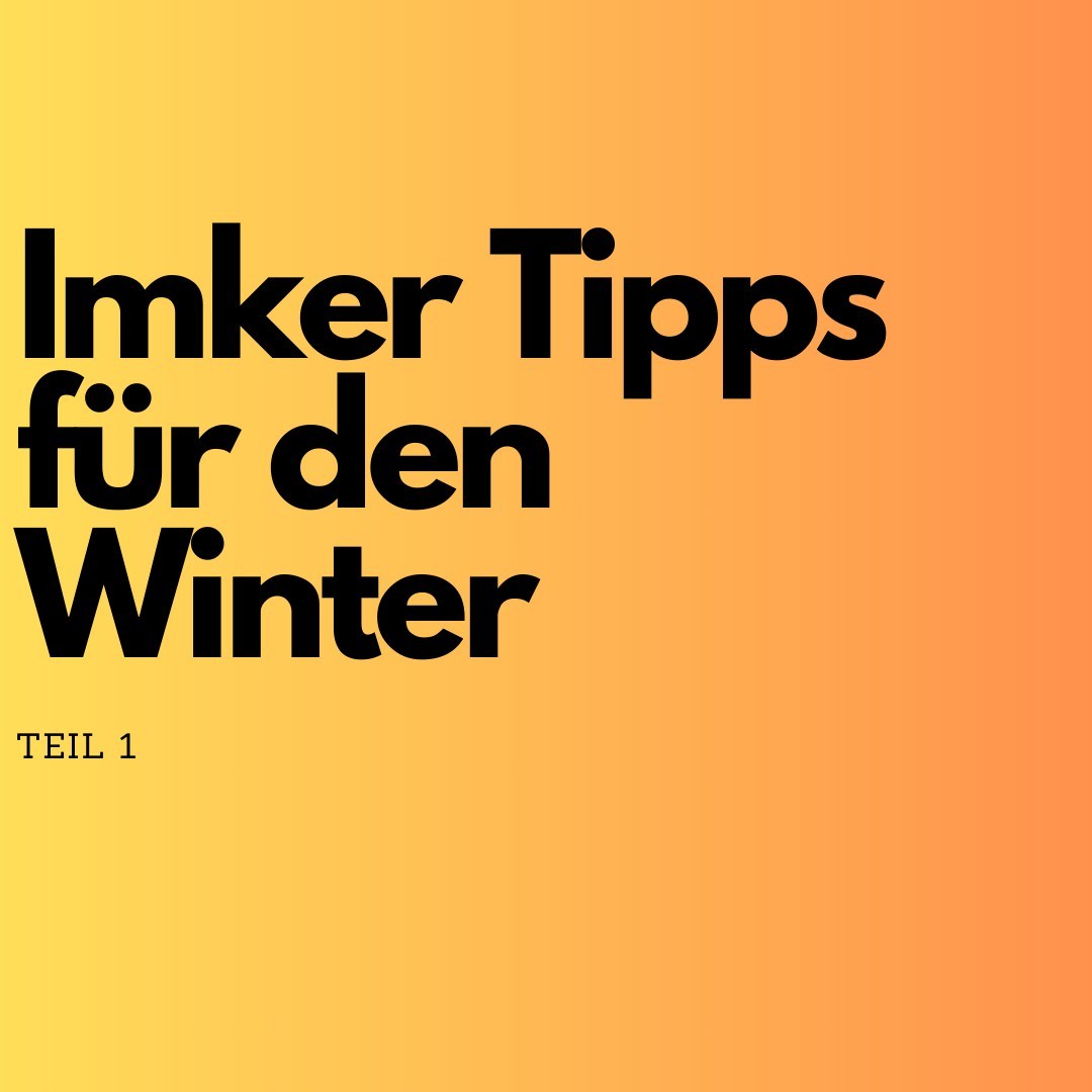 🐝❄️ So bringst du deine Bienen sicher durch den Winter! 🌨️🍯
Mit ein paar einfachen Maßnahmen kannst du deinen Bienen helfen, die kalte Jahreszeit gut zu überstehen:
❄️ Flugloch freihalten: Achte darauf, dass das Flugloch nicht durch Schnee oder Eis blockiert ist. Eine freie Öffnung sorgt für Belüftung und ermöglicht den Bienen bei mildem Wetter kurze Reinigungsflüge. 🌬️🐝
🤫 Ruhe bewahren: Bienen brauchen im Winter absolute Ruhe! Vermeide Arbeiten oder Erschütterungen am Bienenstock, denn jede Störung kostet die Bienen wertvolle Energie. Lass sie ungestört in ihrer Wintertraube. 🌿💤
🌸 Frühjahrsvorbereitung: Nutze die Wintermonate, um alles für die neue Saison vorzubereiten. Reinige und repariere Material, baue neue Rähmchen und plane bienenfreundliche Pflanzen für deinen Garten. Ein gut organisierter Start erleichtert den Übergang ins Frühjahr! 🛠️🐝
❄️🐝 Deine Bienen werden es dir danken, wenn du diese kleinen, aber wichtigen Schritte umsetzt! 💛✨
#Bienenkugel #ImkerTipps #Bienenliebe #Winterpflege #Bienenschutz #RettetDieBienen #Frühjahrsvorbereitung #BienenFreunde