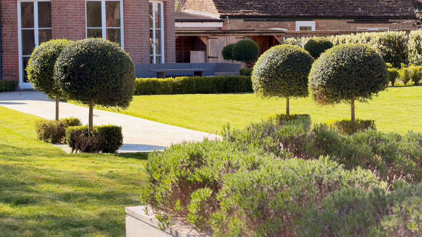 Tuesday = grass cutting day 🌱✂️
Firstly, we hope everyone had a fantastic Easter 🐣🍫 — and what a bonus to have the sun shining today ☀️🙌
It was a big day working through our garden maintenance contracts, getting lawns cut, edges sharpened, and everything looking fresh again after the long, wet spell 🌿👌
This first one though… one of our favourites 😍 An unreal spot and a proper sun trap ☀️🏡 The kind of lawn that just stripes up perfectly and really shows off that clean, professional finish 💪🌱
We take pride in getting that crisp striped look — not just for appearance, but to keep the lawn healthy, even, and well-maintained throughout the season 👌
Sadly, this property has now been sold, so we might not be sticking around to keep it looking like this… but who knows! 🤞
If your lawn needs bringing back to life or keeping on top of this season, we’ve got you covered 👇
M.J.B Group Ltd
Tree & Garden
📱 01225 - 941139
📧 info@mjbgroup.co.uk
💻 www.mjbgroup.co.uk
#lawncare #grasscutting #gardenmaintenance #landscapinguk #springlaw