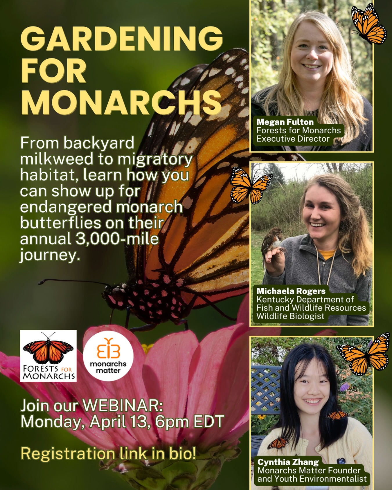 Join our webinar with @forestsformonarchs this coming Monday (April 13) at 6pm EDT:
🦋 Gardening for Monarchs: From Backyard Milkweed to Migratory Habitat 🌿
~ Registration link in bio ~
Monarch butterflies are one of the most recognizable and beloved species in North America—and one of the most vulnerable.
From breeding grounds across the United States to overwintering forests in Mexico, monarchs rely on a connected network of habitats to survive. The good news? There are meaningful ways each of us can help.
On April 13 at 6:00 PM EDT, we’re hosting a live webinar to explore how everyday actions—like planting milkweed and creating pollinator-friendly spaces—connect to the broader effort to protect monarch butterflies across their incredible migration.
This live, informal conversation will bring together perspectives from across the monarch’s range, including:
🐛 How monarchs use milkweed during their summer breeding cycle
📊 Research-backed tips for selecting milkweed and designing your garden for success
🙌 Youth-led conservation efforts and how communities are getting involved
🌳 How habitat restoration in Mexico supports the monarch population as a whole
We’re excited to be joined by:
🦋 Megan Fulton, Forests for Monarchs Executive Director, connecting this work to reforestation and habitat protection in Mexico
🦋 Michaela Rogers, Kentucky Department of Fish and Wildlife Wildlife Biologist, bringing expertise in milkweed and pollinator habitat
🦋 Cynthia Zhang, founder of Monarchs Matter, sharing youth-led conservation efforts
#monarchbutterflies #webinar #environmentalconservation #youthactivism #pollinatorgarden