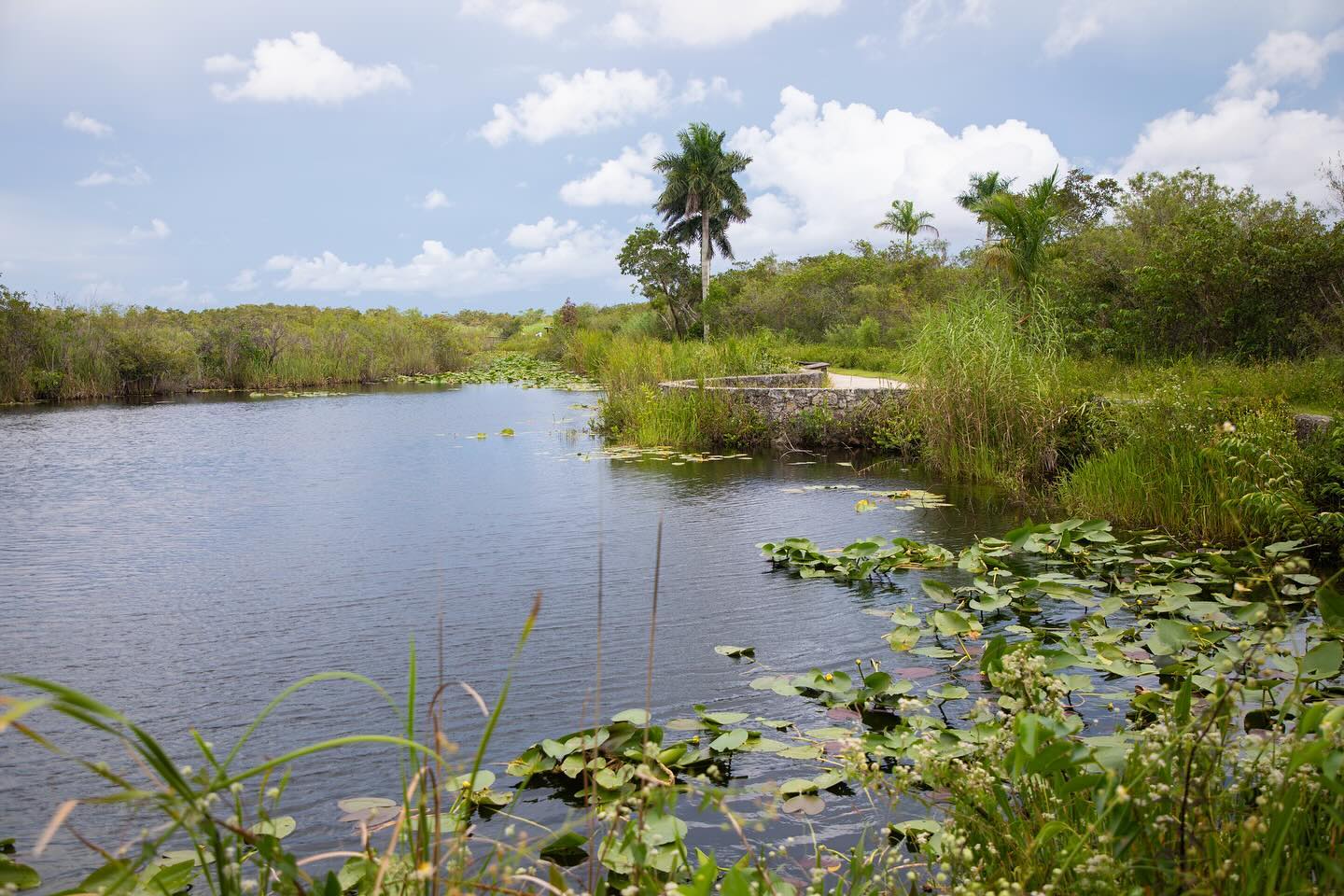 Visited the Everglades and Biscayne National Park back in September and finally finished the travel review which is up now on the blog! Check it out!
#hiking #snorkeling #nationalpark #nationalparks #everglades #evergladesnationalpark #biscayne #biscaynenationalpark #florida #getoutside #getoutdoors